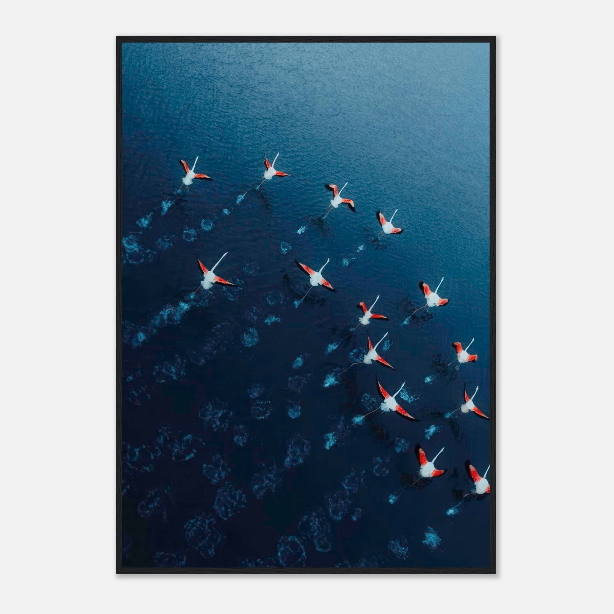 Aerial view of flamingos in flight over deep blue waters, showcasing vibrant pink and blue tones.