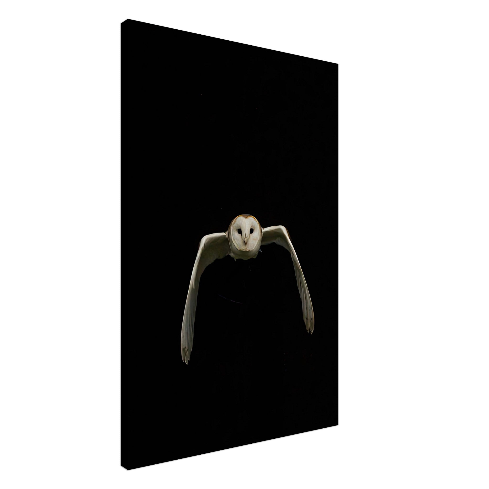 Owl canvas artwork showcasing a flying owl against a deep black background, perfect for nature lovers and art enthusiasts.