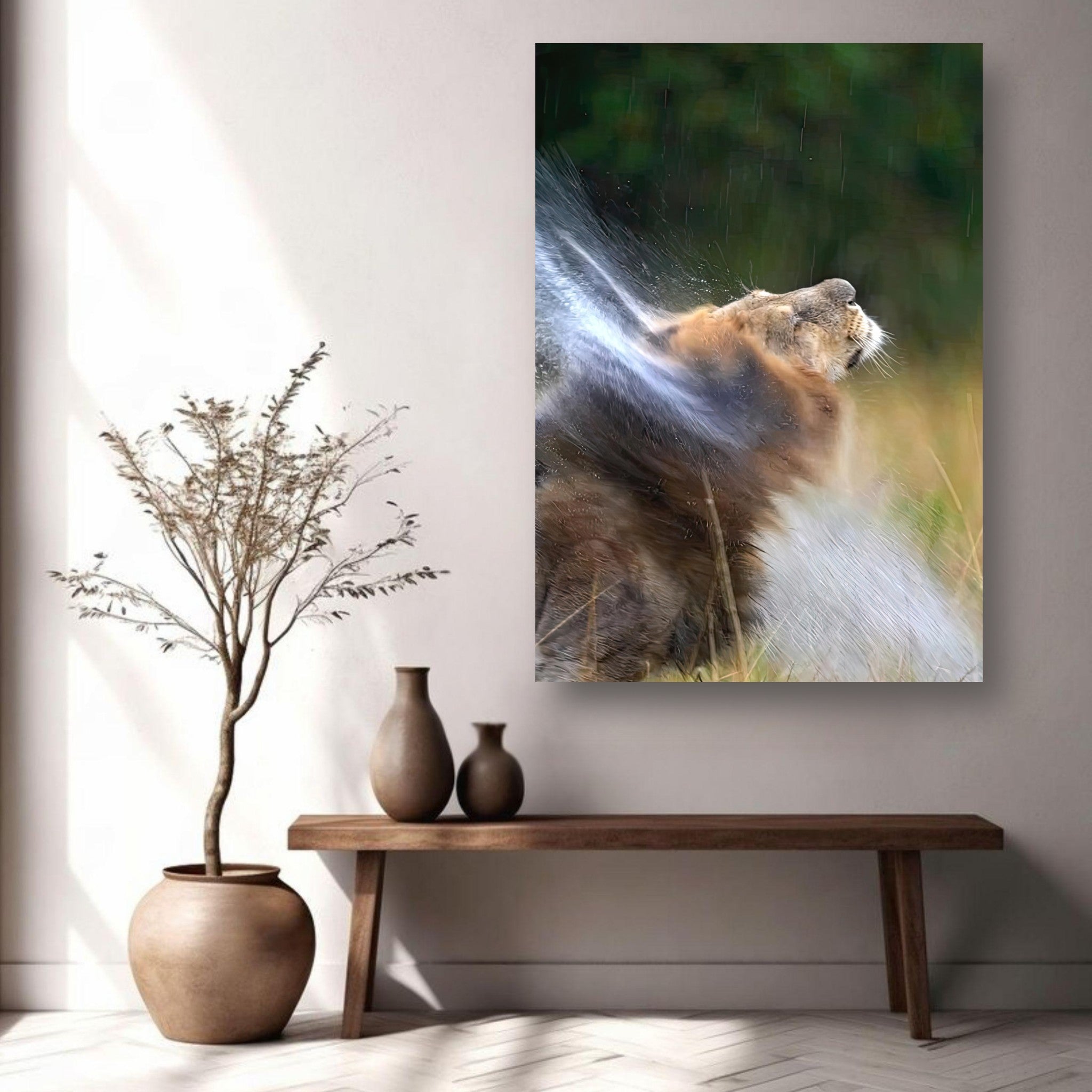 Majestic lion shaking off water on metal print, showcasing strength and elegance in vibrant color.