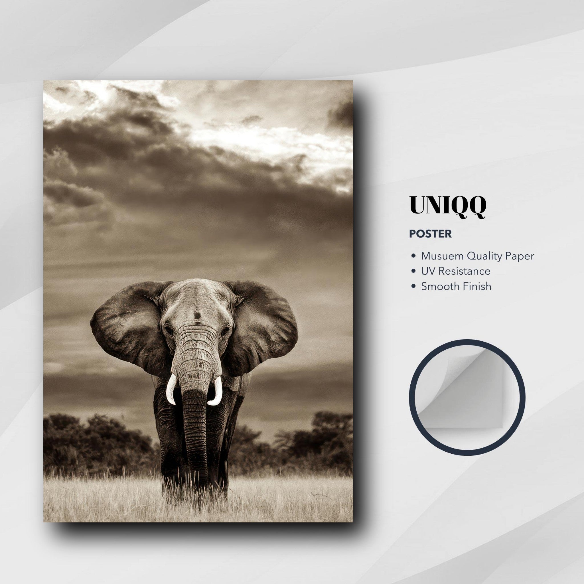 Stunning elephant portrait photography poster in monochrome, showcasing intricate details and majestic presence.