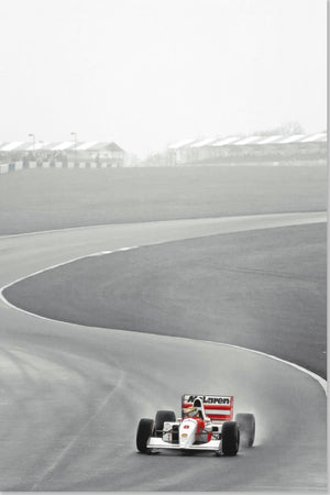1988 Ayrton Senna Mclaren Photographie