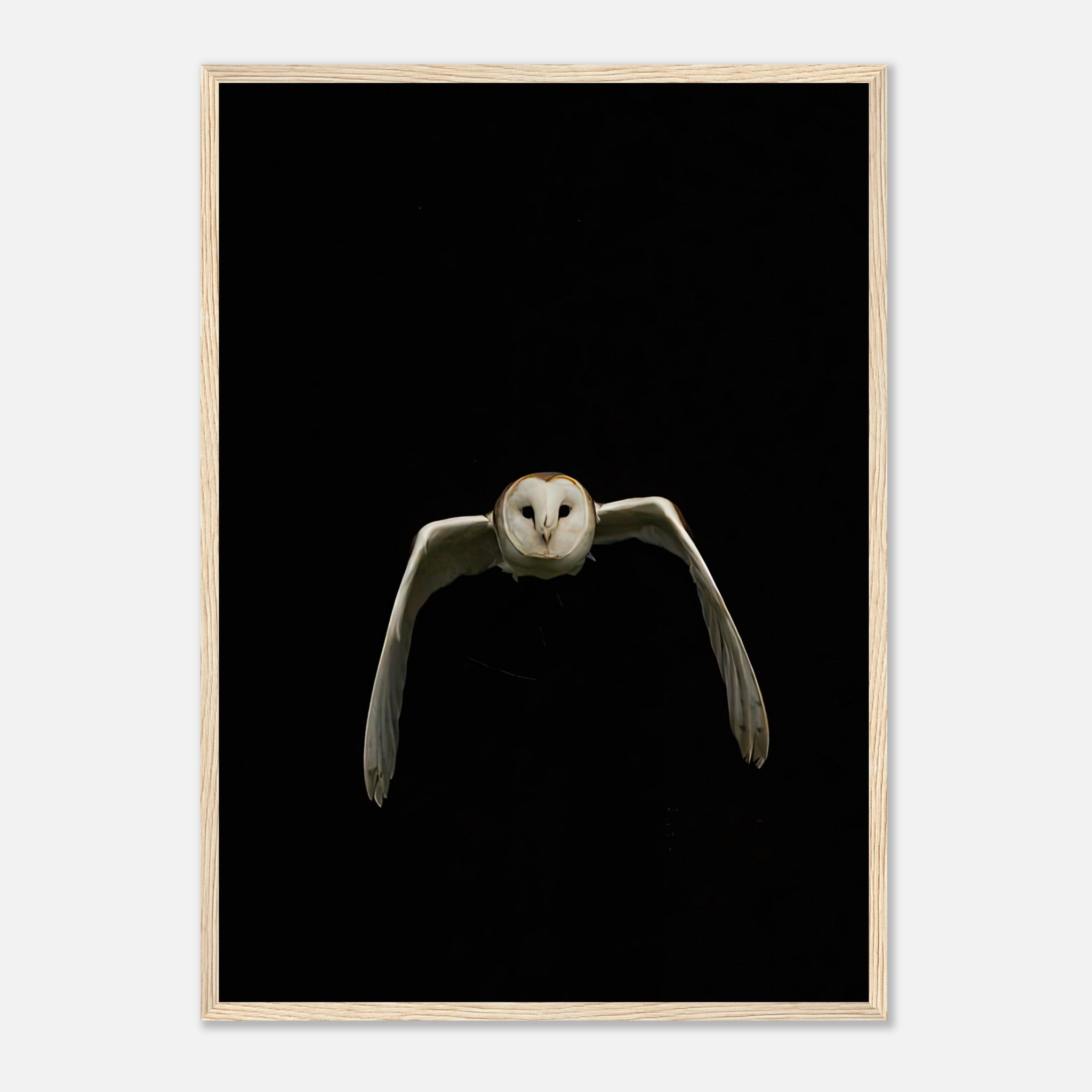 Stunning framed print of a barn owl in mid-flight against a striking black background, perfect for modern decor.