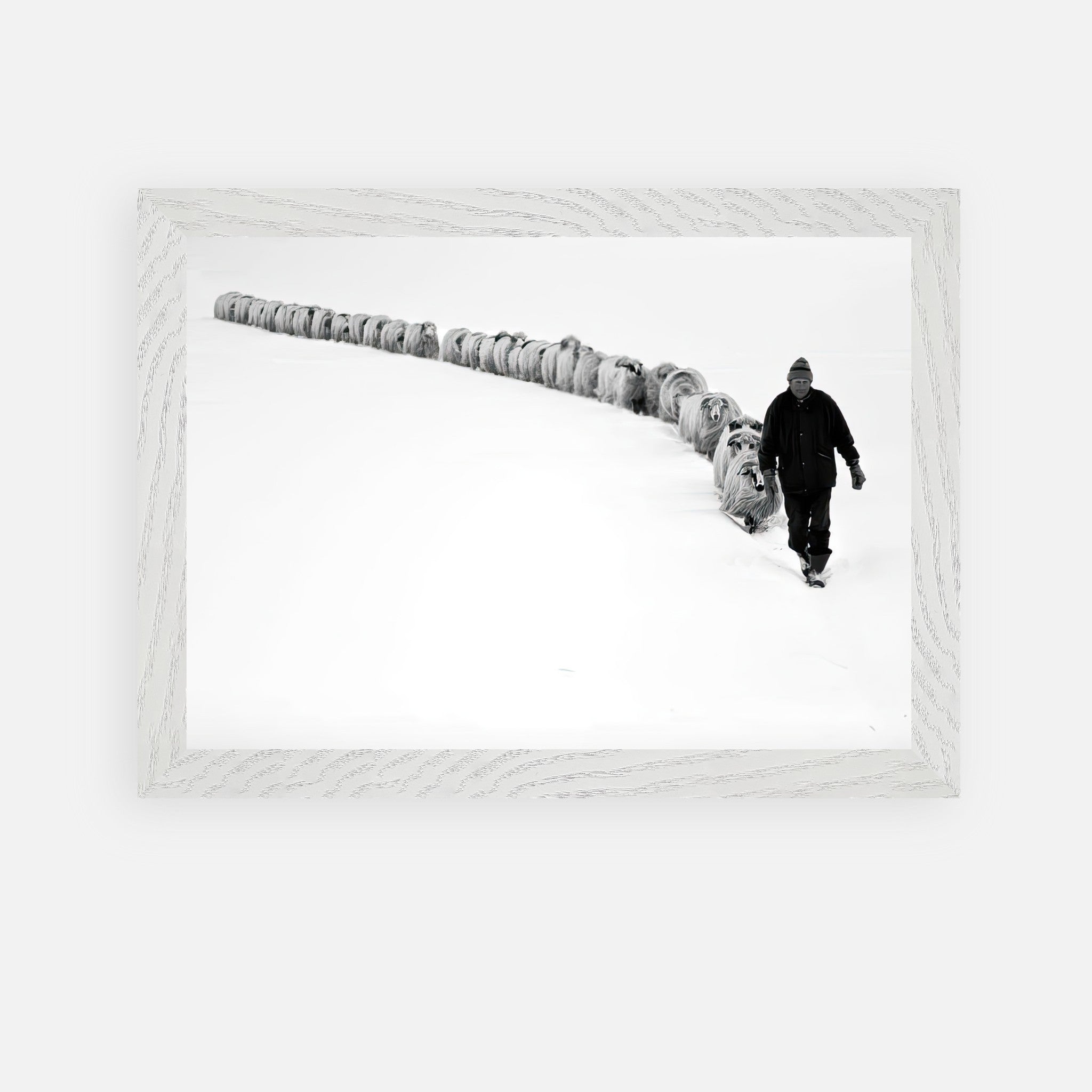 Black-and-white photo of a shepherd walking with sheep through a snow-covered landscape in a vintage frame.