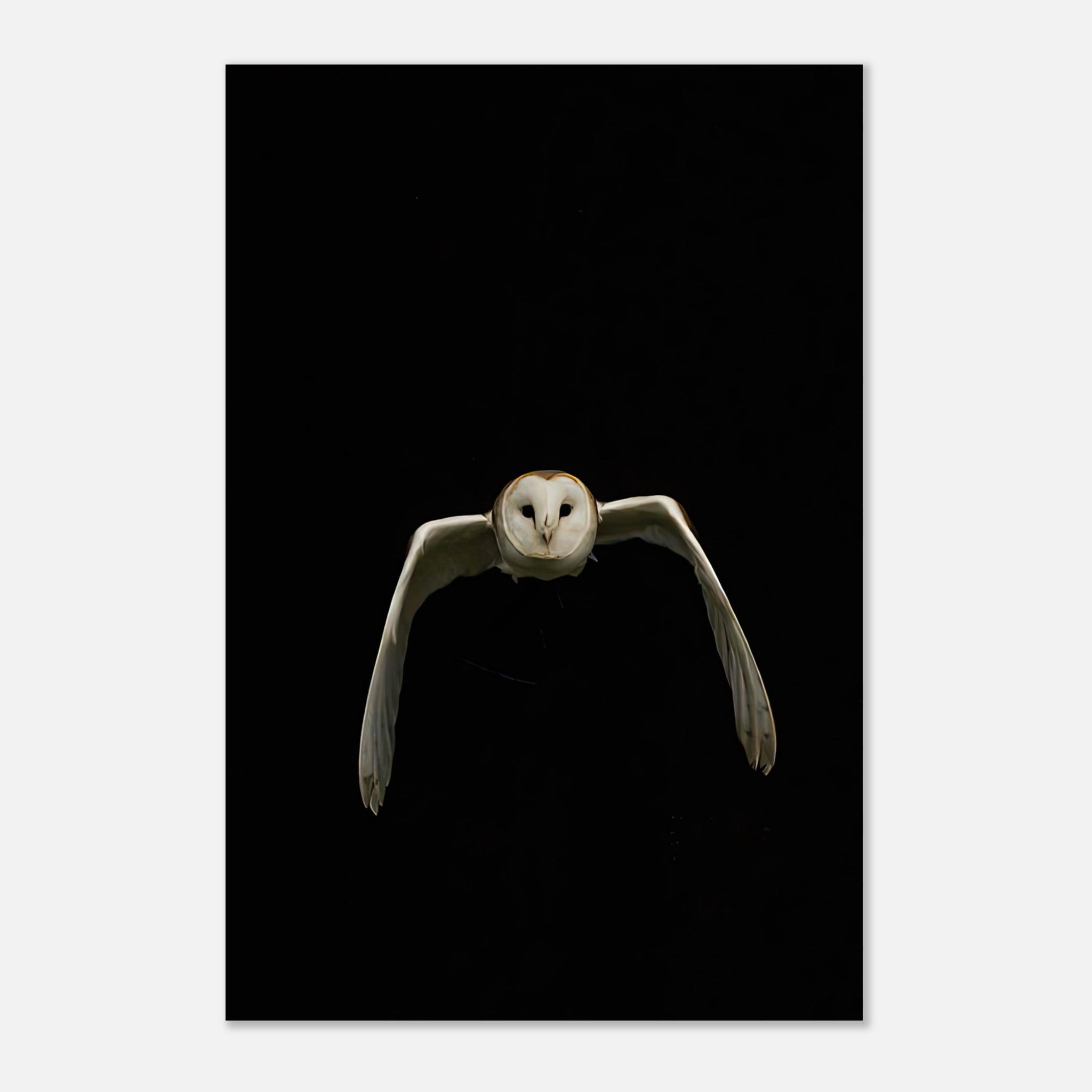 Majestic owl in mid-flight on a dramatic black background, stunning metal print for home decor.