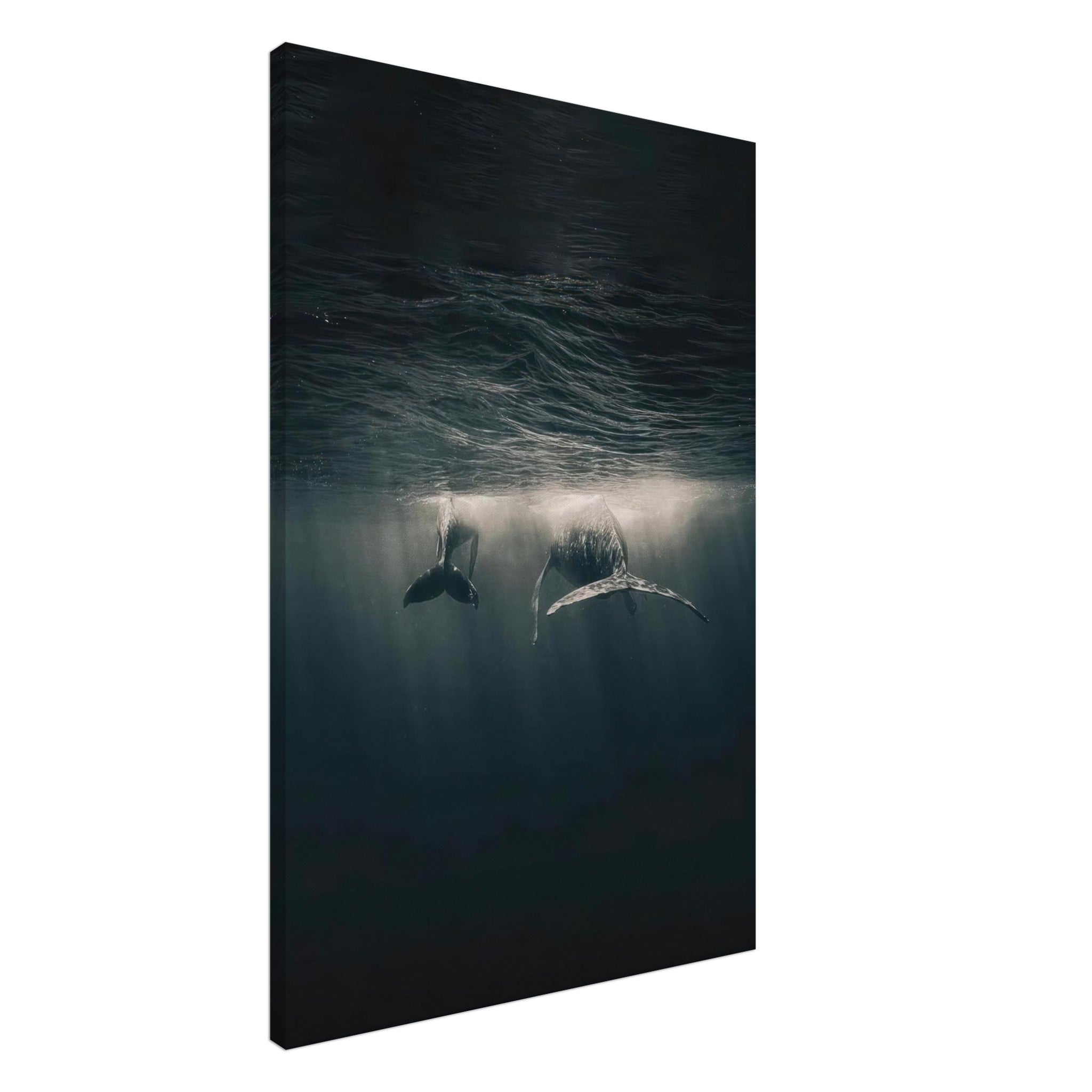 Whales gracefully swimming underwater, captured in stunning detail on a canvas print, evoking ocean tranquility.