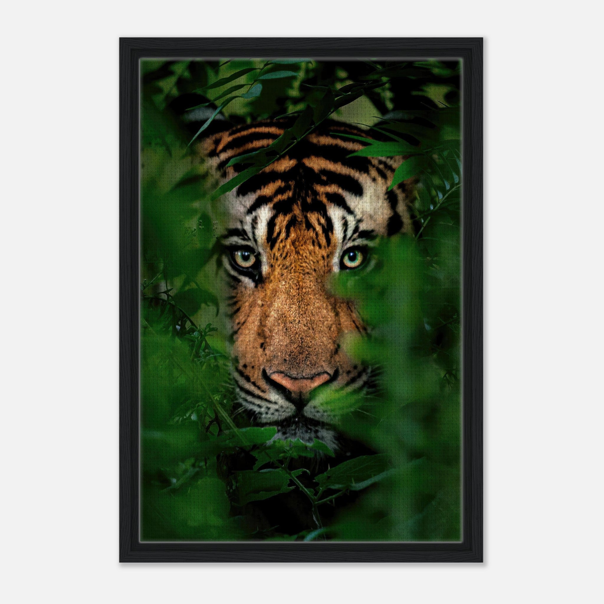 Tiger Through Jungle Framed Canvas Print showcasing a fierce tiger's gaze amidst lush green foliage.
