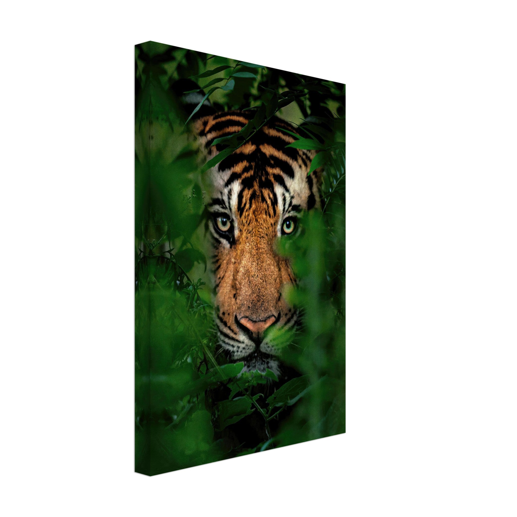 Majestic tiger peering through lush green foliage on canvas, showcasing wild strength and elegance.