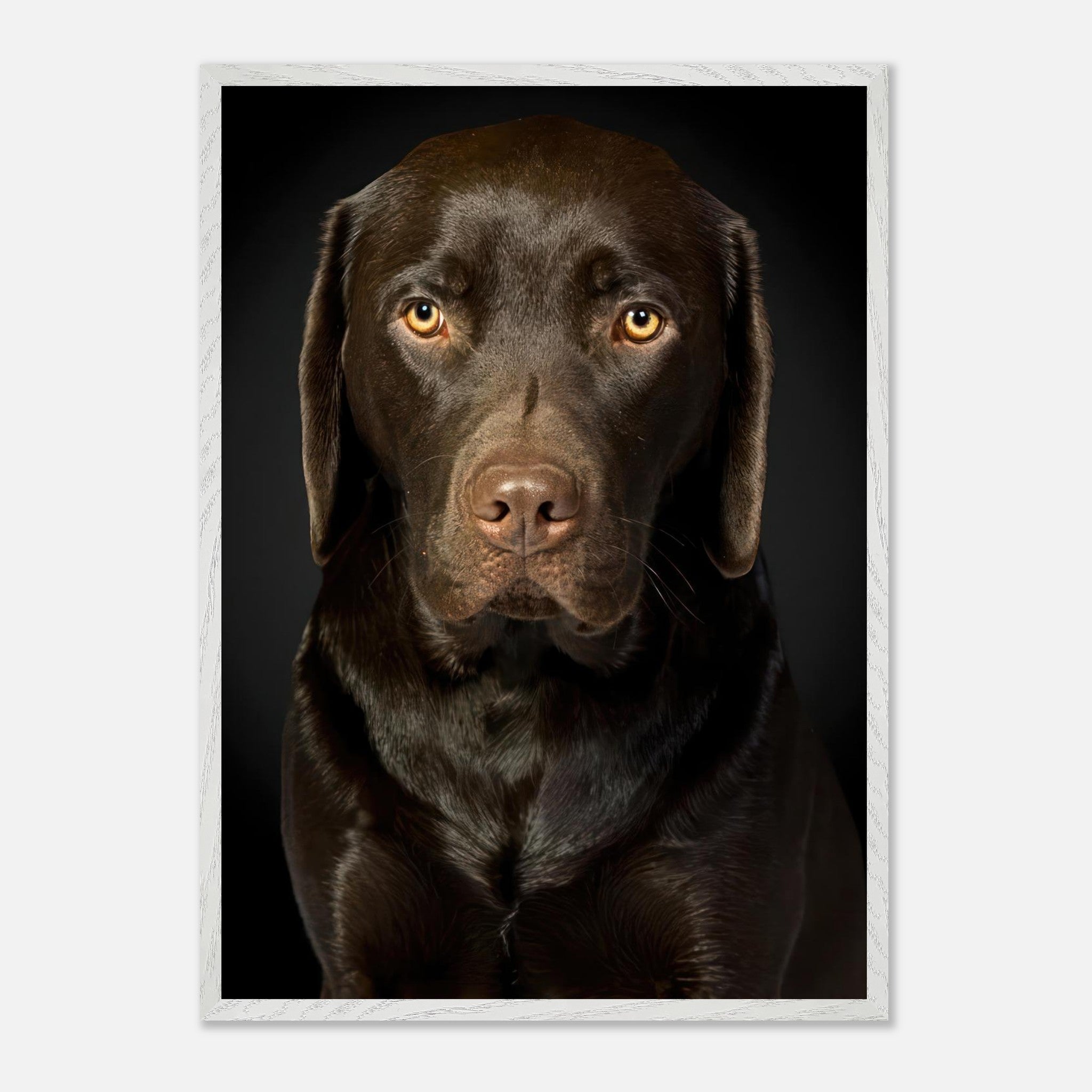 Chocolate Labrador portrait showcasing its soulful gaze and glossy coat, perfect for dog lovers and art fans.