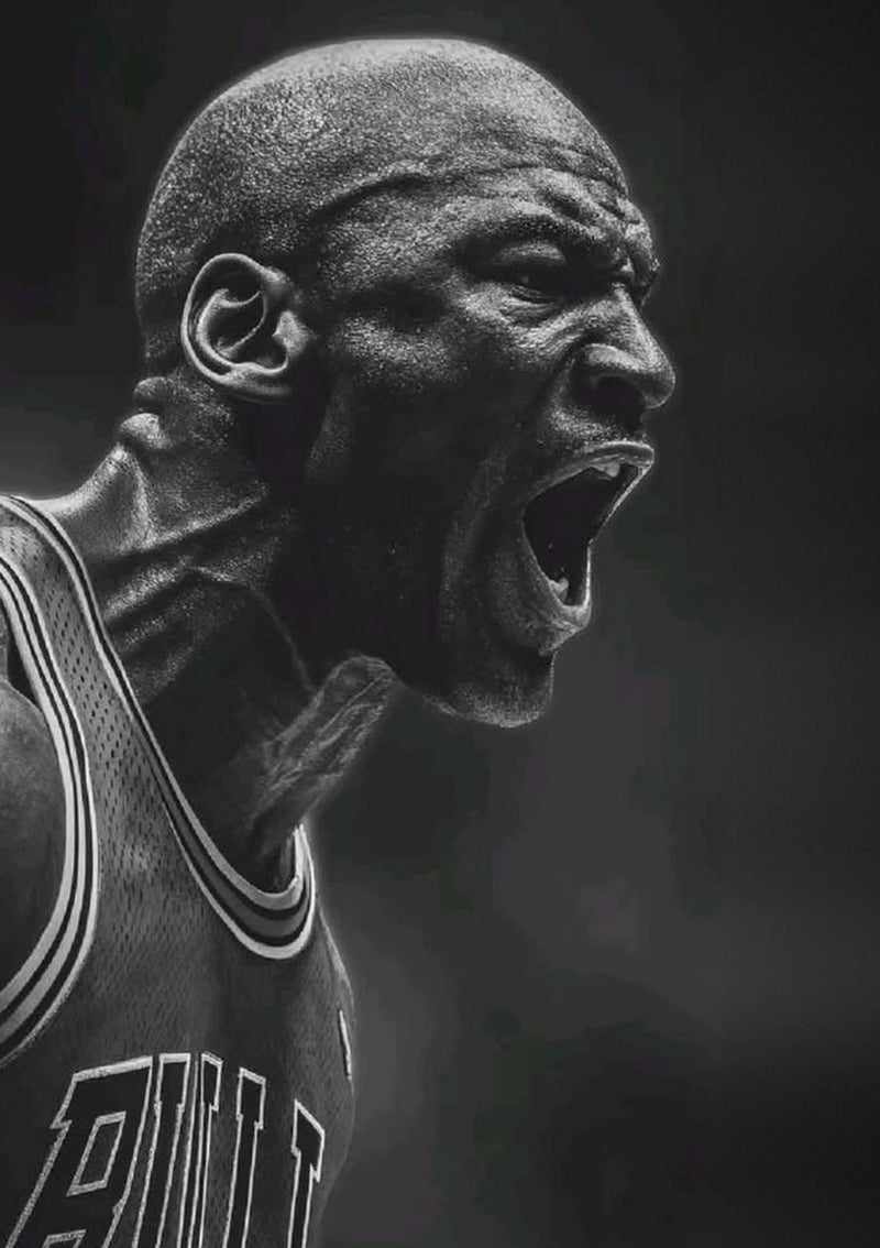 Michael Jordan Chicago Bulls