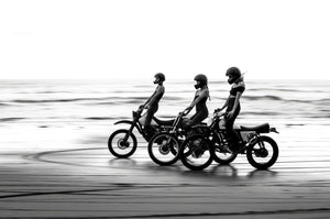 Rebels on the Shore