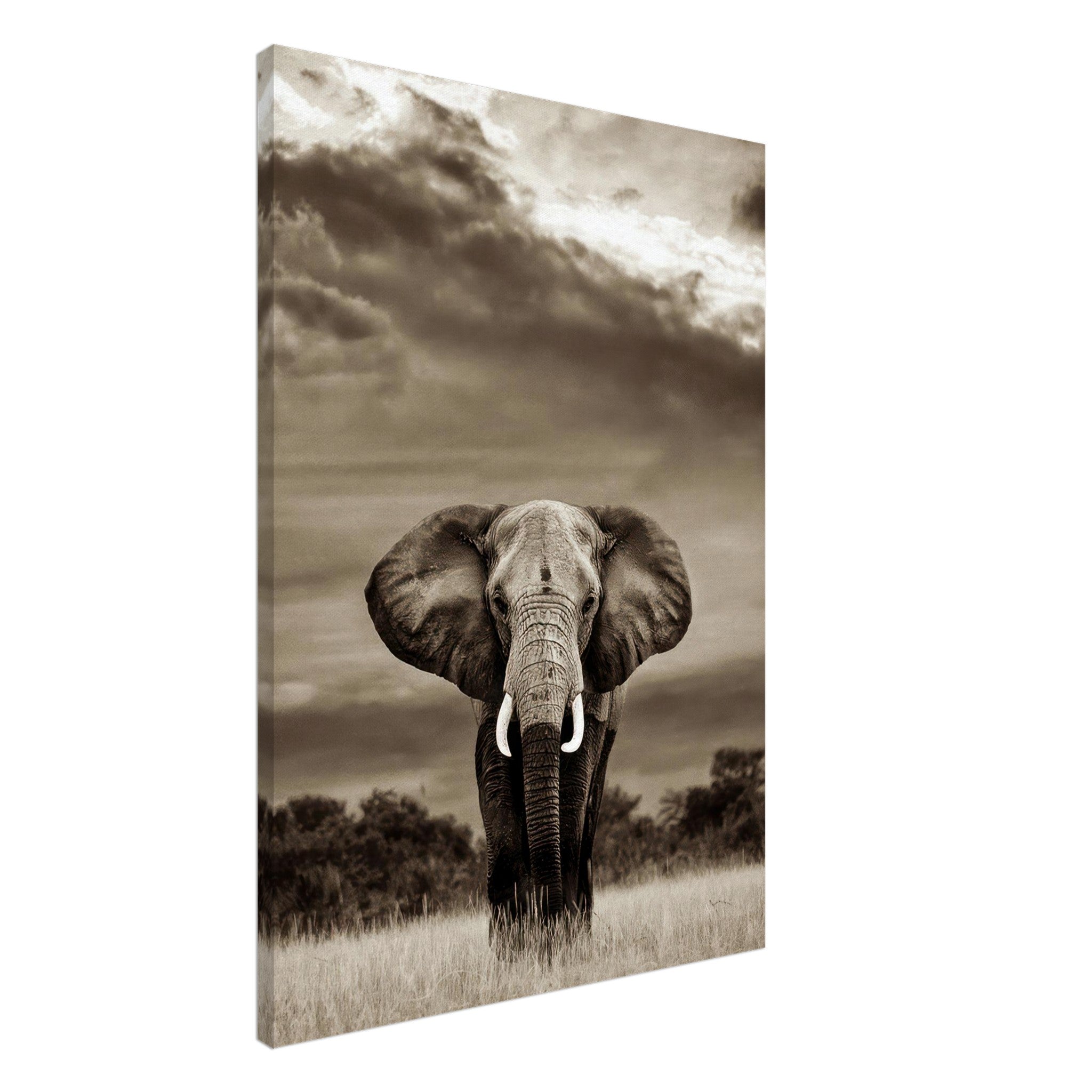 Black-and-white canvas print of an elephant standing amidst a dramatic sky, showcasing its majestic features.