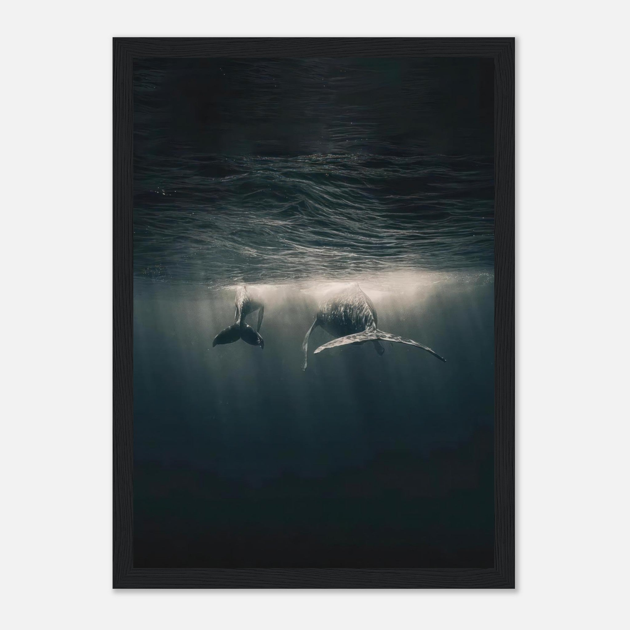 Majestic whales gliding underwater, framed print capturing ocean serenity and sunlight beams.