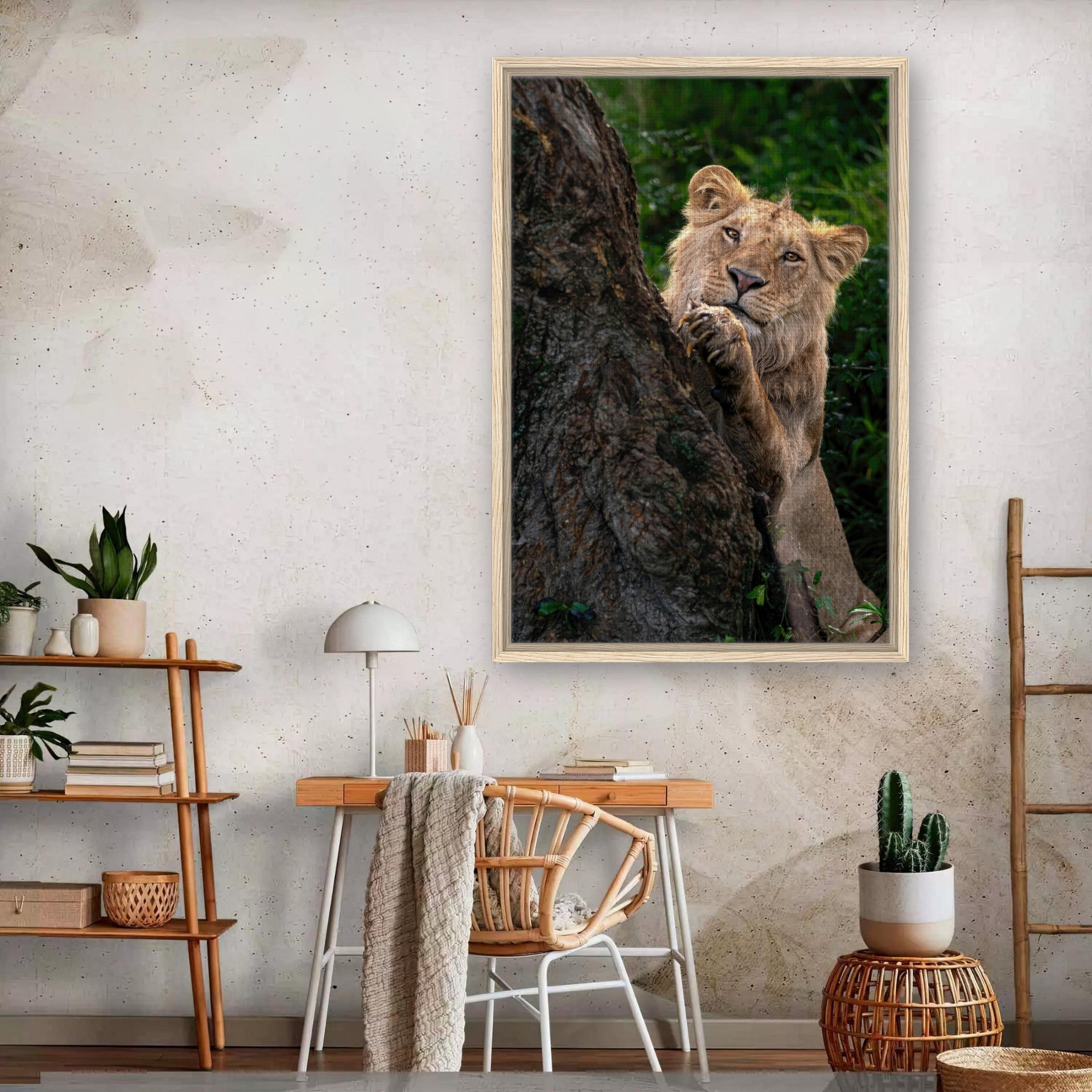 Playful lion peeking behind a tree in a framed canvas print, adding adventure and warmth to home decor.
