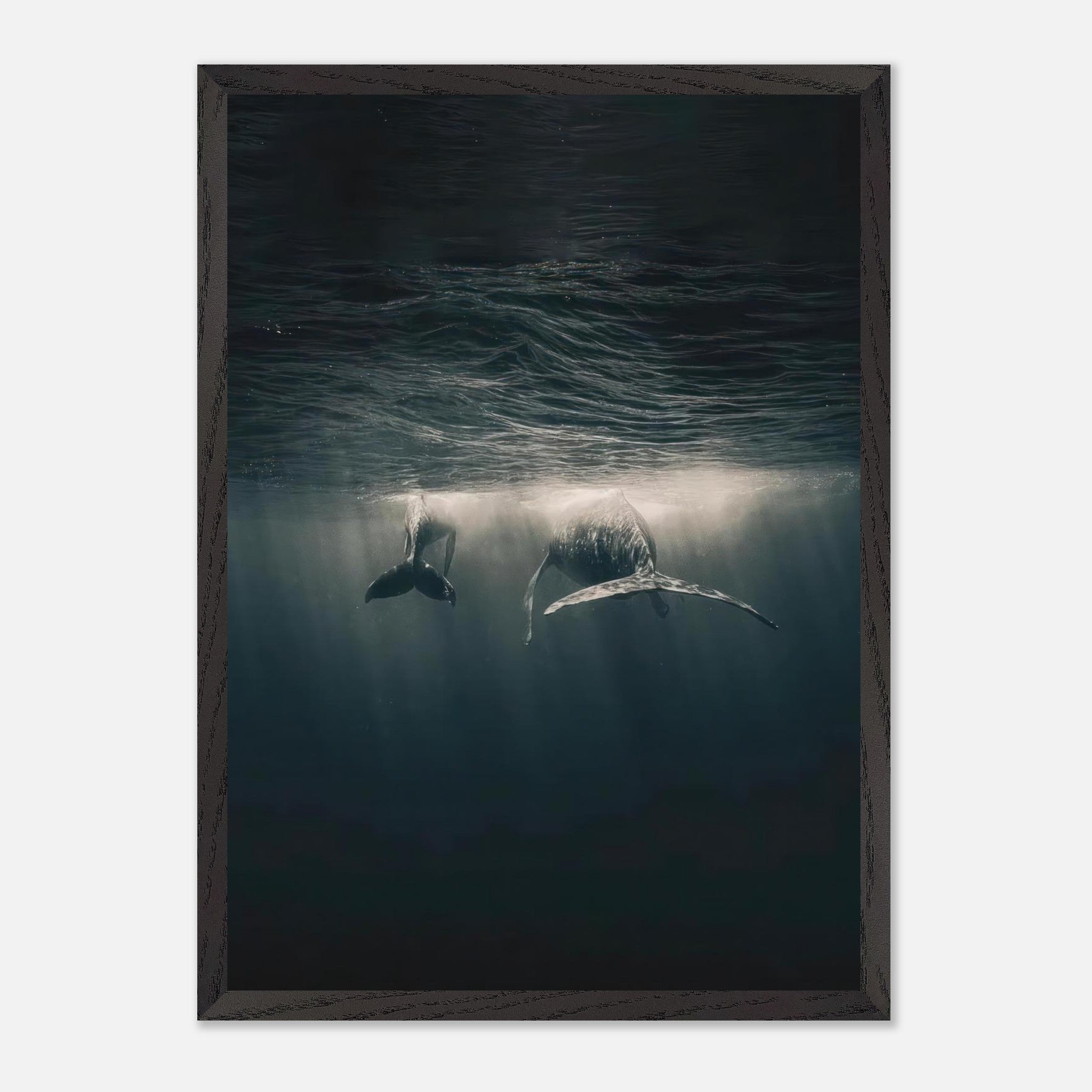 Stunning fine art print of two whales gliding underwater, showcasing the beauty of deep sea life.