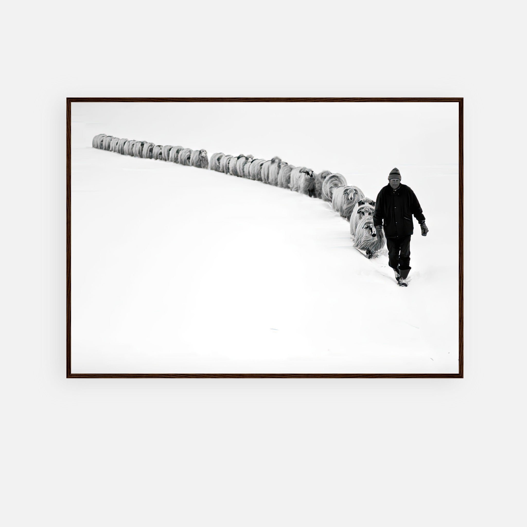 Framed print of a shepherd guiding a flock through a snow-covered landscape in black-and-white.