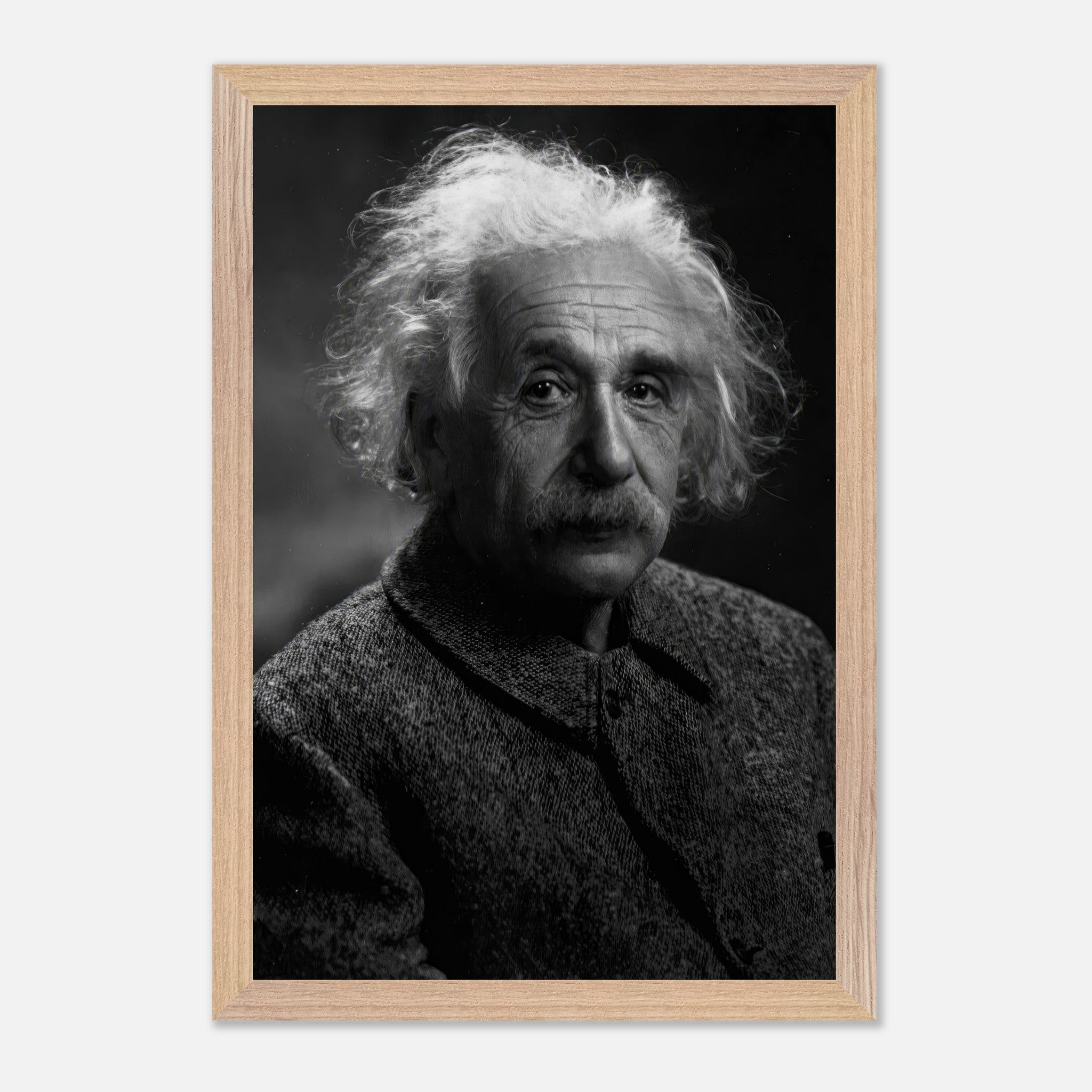 Black-and-white portrait of Albert Einstein, showcasing his expressive gaze and iconic features in museum-quality fine art.
