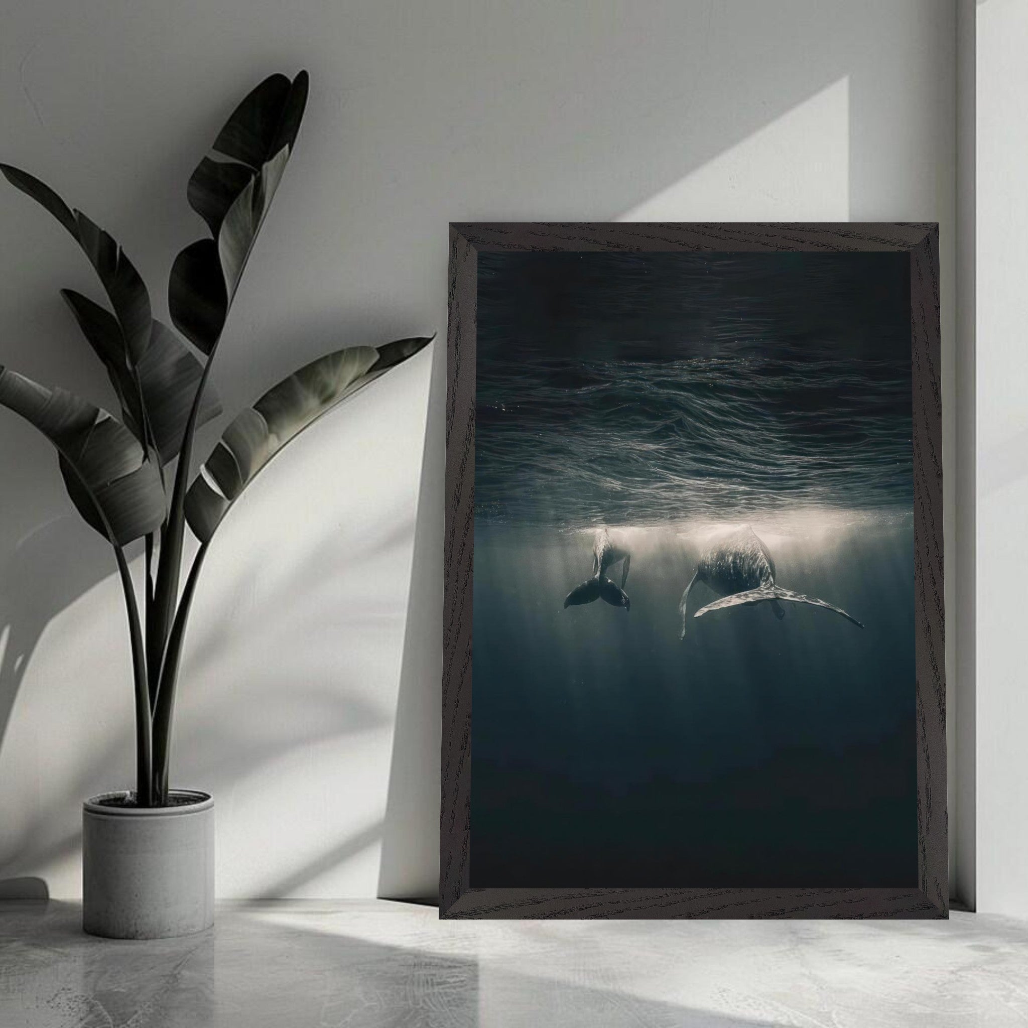 Vintage framed print of whales underwater, capturing serene ocean beauty with light reflections.