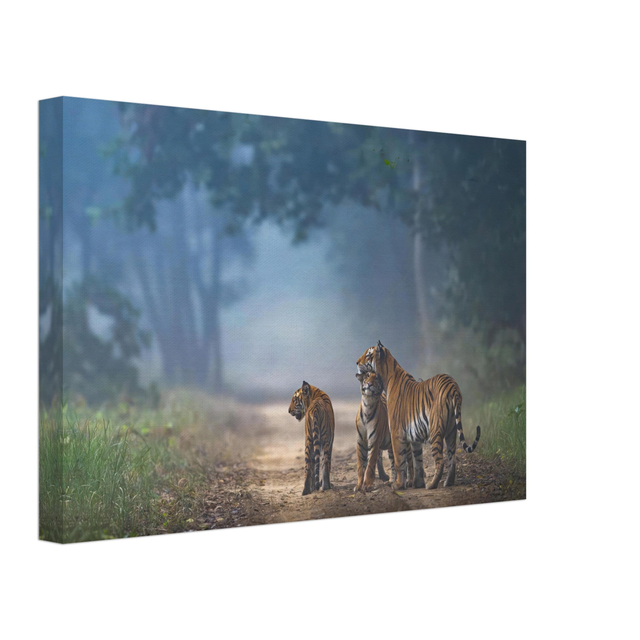 The Bond of Tigers Canvas featuring a tiger family in a misty forest, showcasing strength and unity in nature.