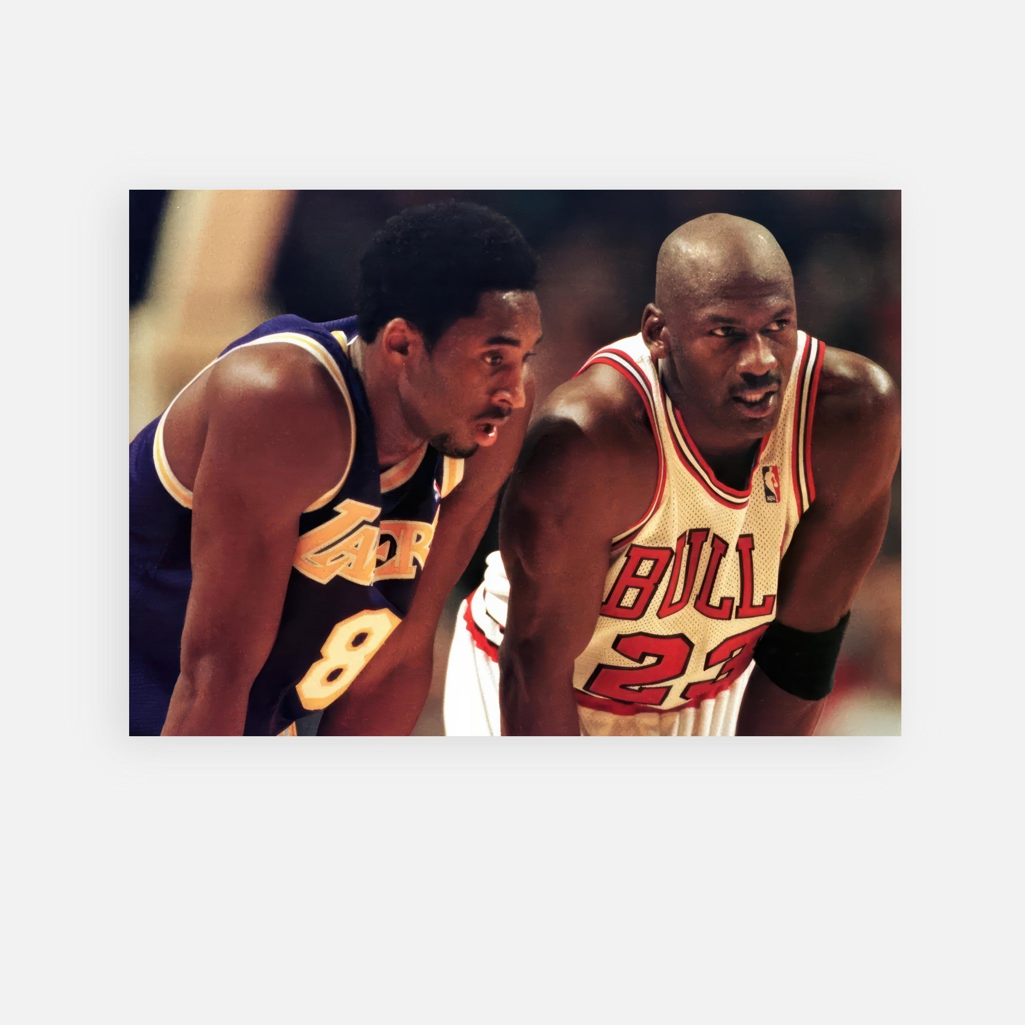 1931395b-df50-4559-8d79-eca69325103f