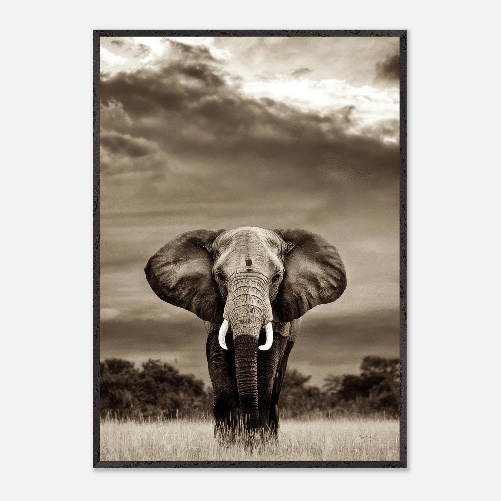 Stunning black-and-white elephant portrait photography print showcasing strength and grace in its natural habitat.