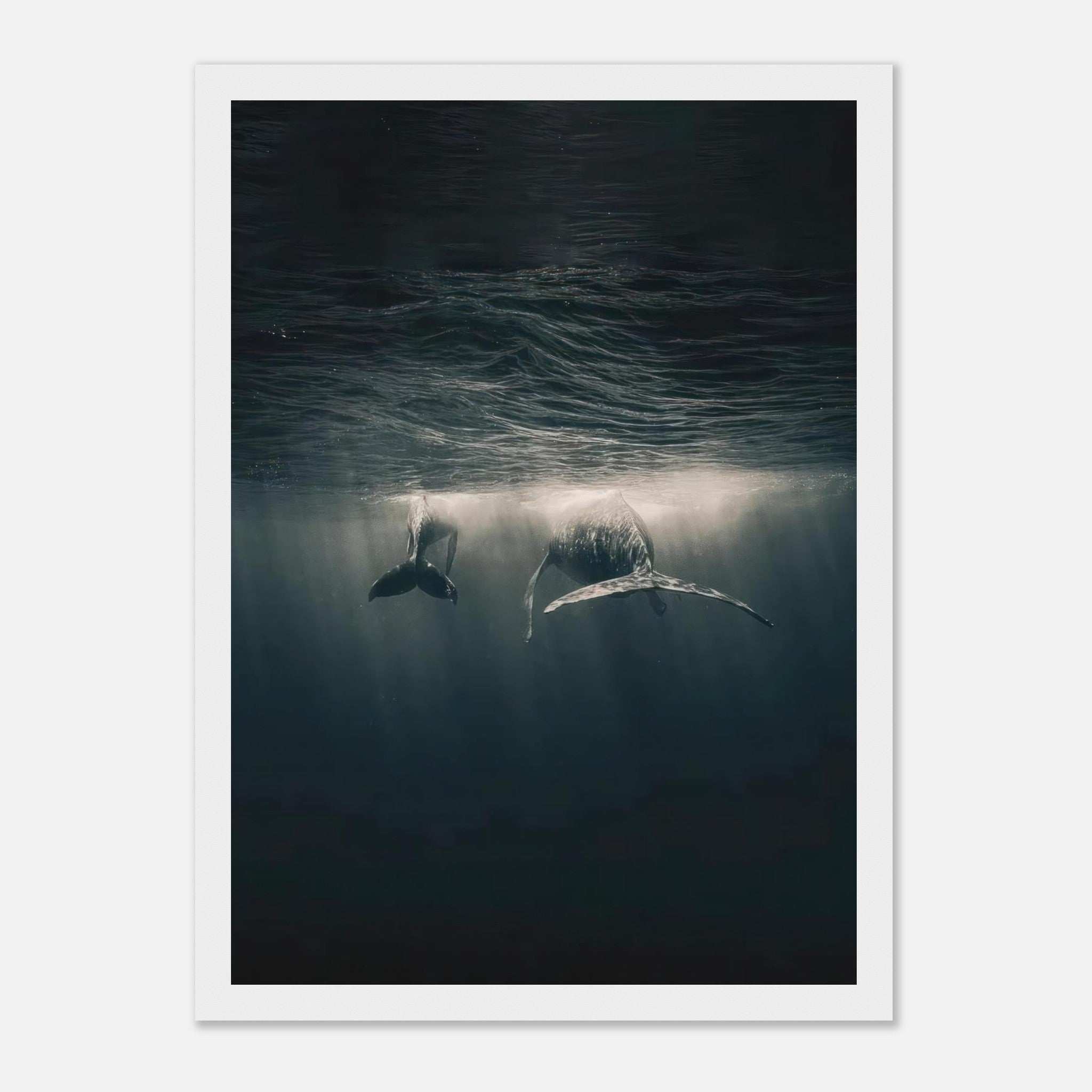 Stunning framed print of two whales gliding underwater in the ocean, illuminated by soft rays of sunlight.