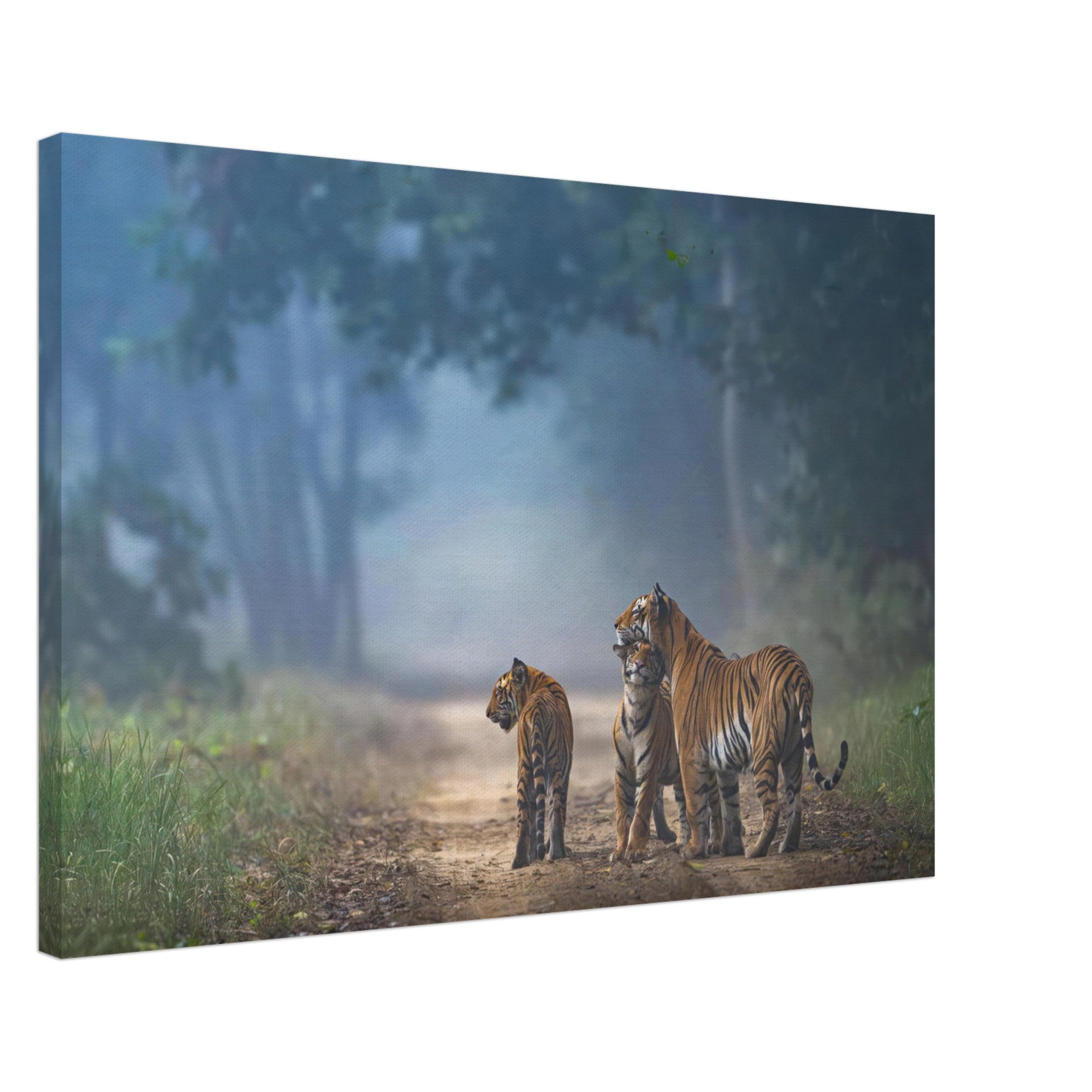 The Bond of Tigers canvas art featuring a tiger family walking through a misty forest, showcasing nature's strength and beauty.