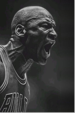 Michael Jordan Chicago Bulls