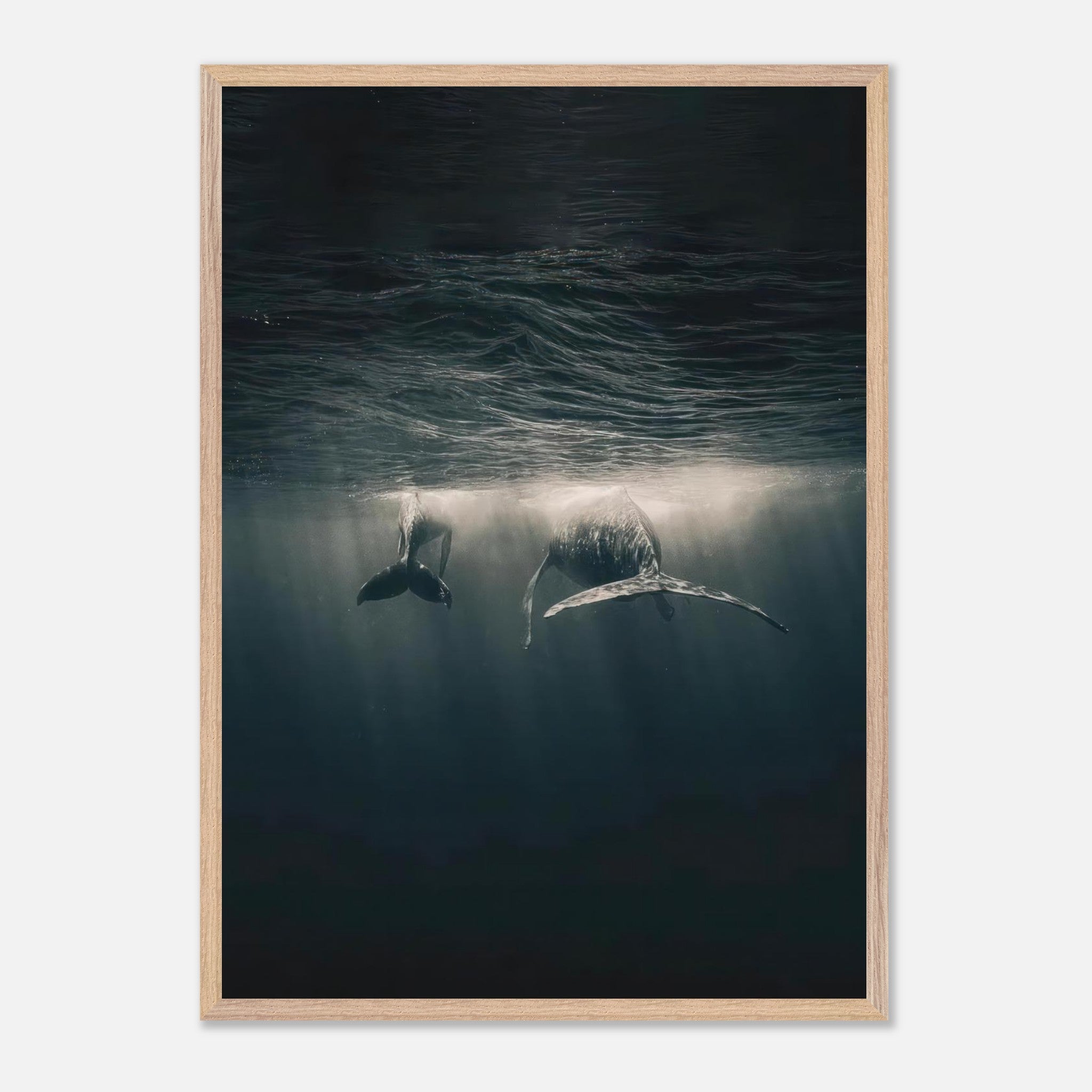 Vintage framed print of whales swimming gracefully underwater against a serene, illuminated ocean backdrop.