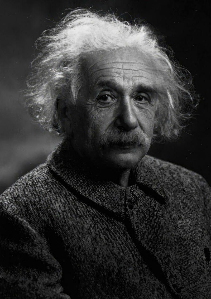 Albert Einstein Portrait
