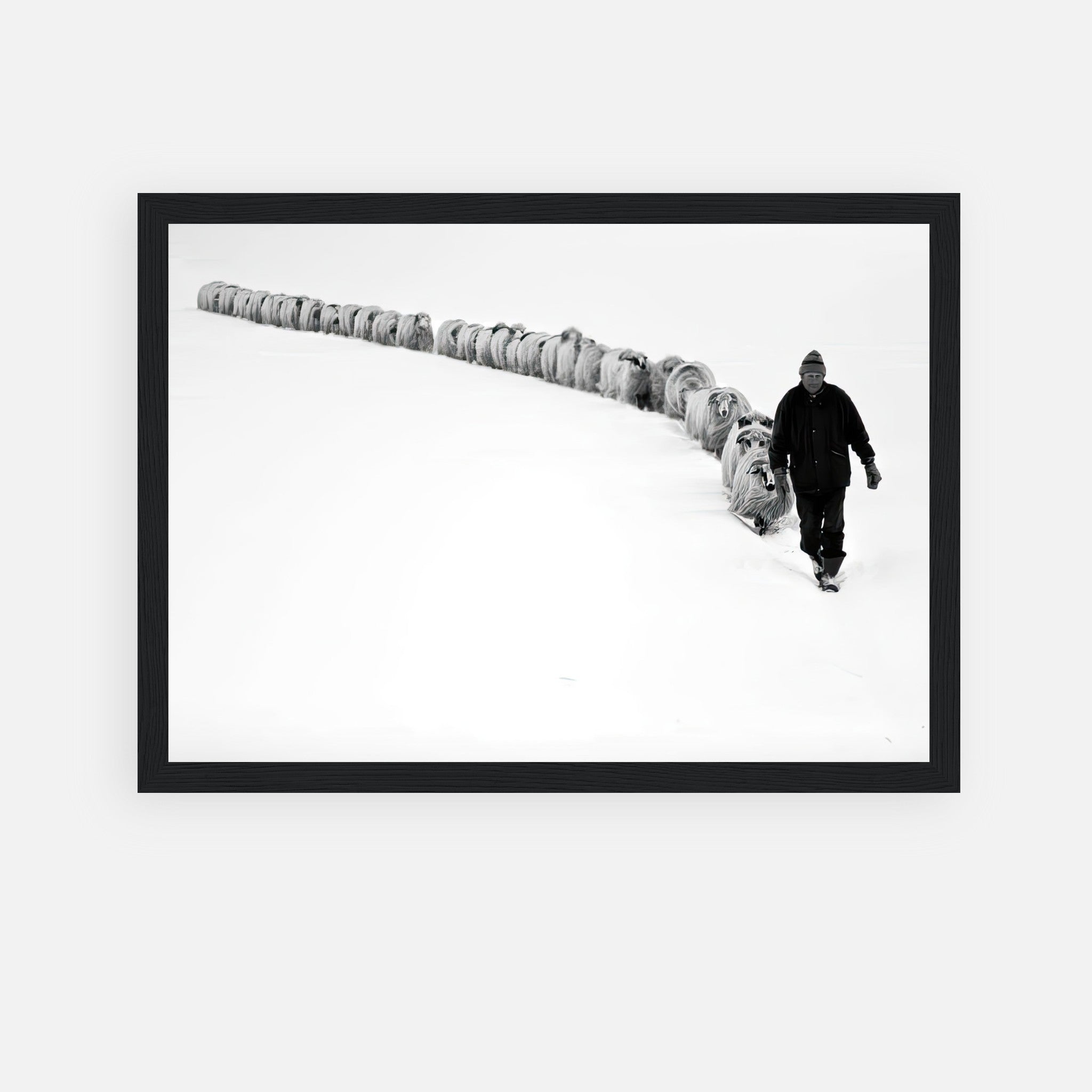Black-and-white framed print of a shepherd guiding sheep through a snow-covered landscape, symbolizing unity and resilience.