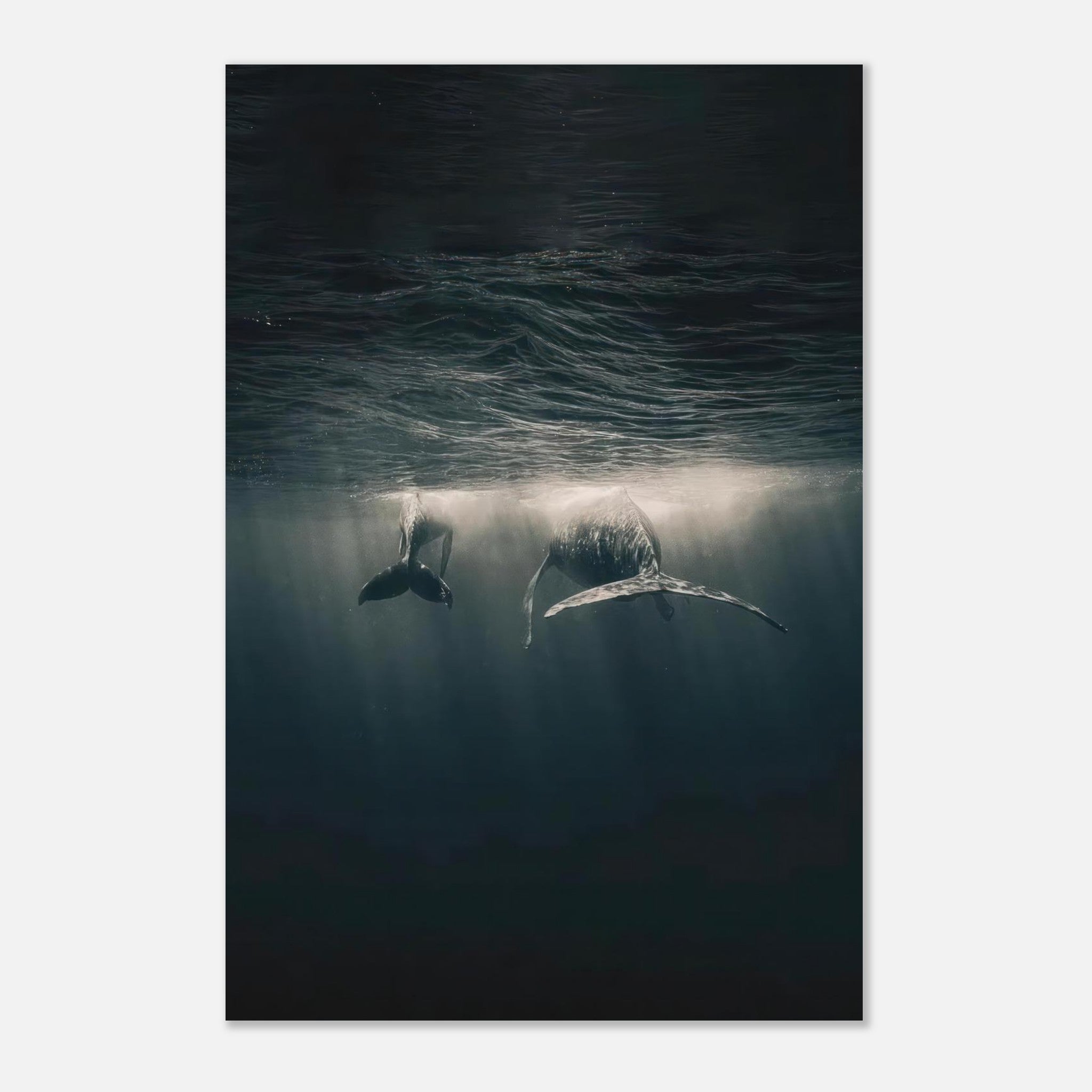 Two majestic whales gliding underwater, illuminated by soft beams of light in the deep ocean.