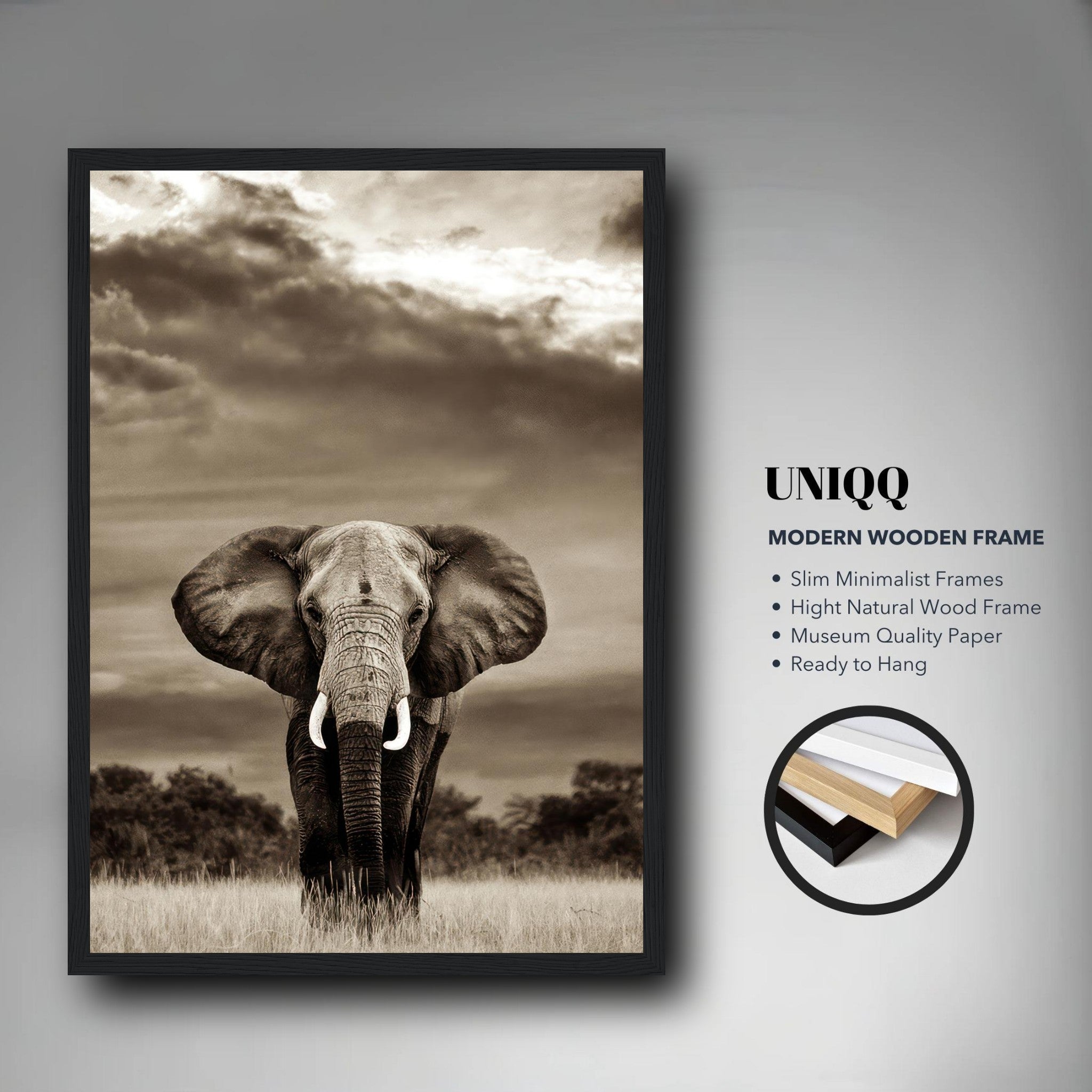 Framed elephant portrait photography in black-and-white showcasing elegance and strength, perfect for home decor.
