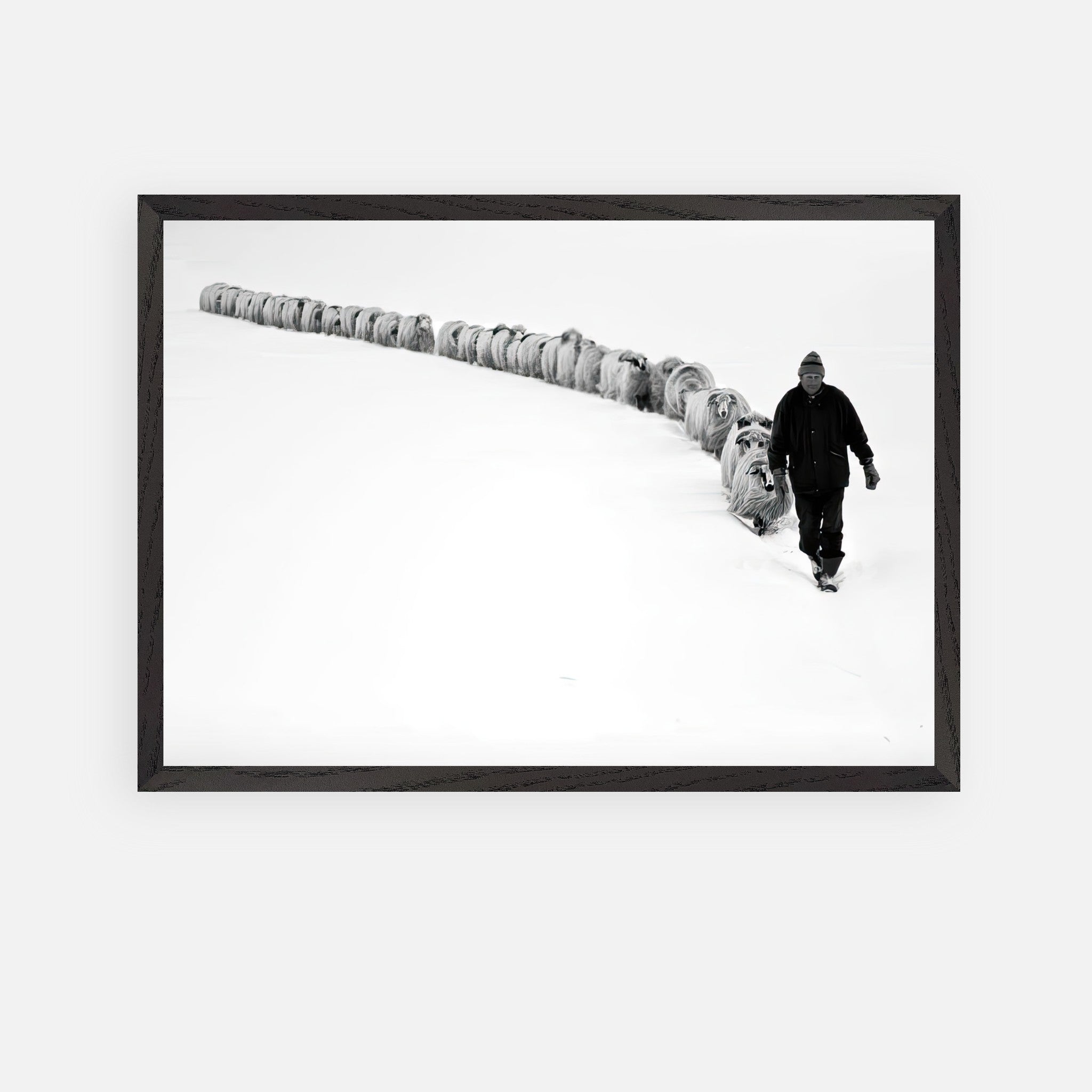 Shepherd guiding sheep through a snowy landscape in a vintage framed black-and-white photograph.