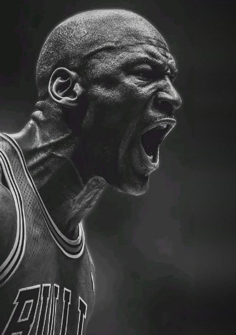 Michael Jordan Chicago Bulls