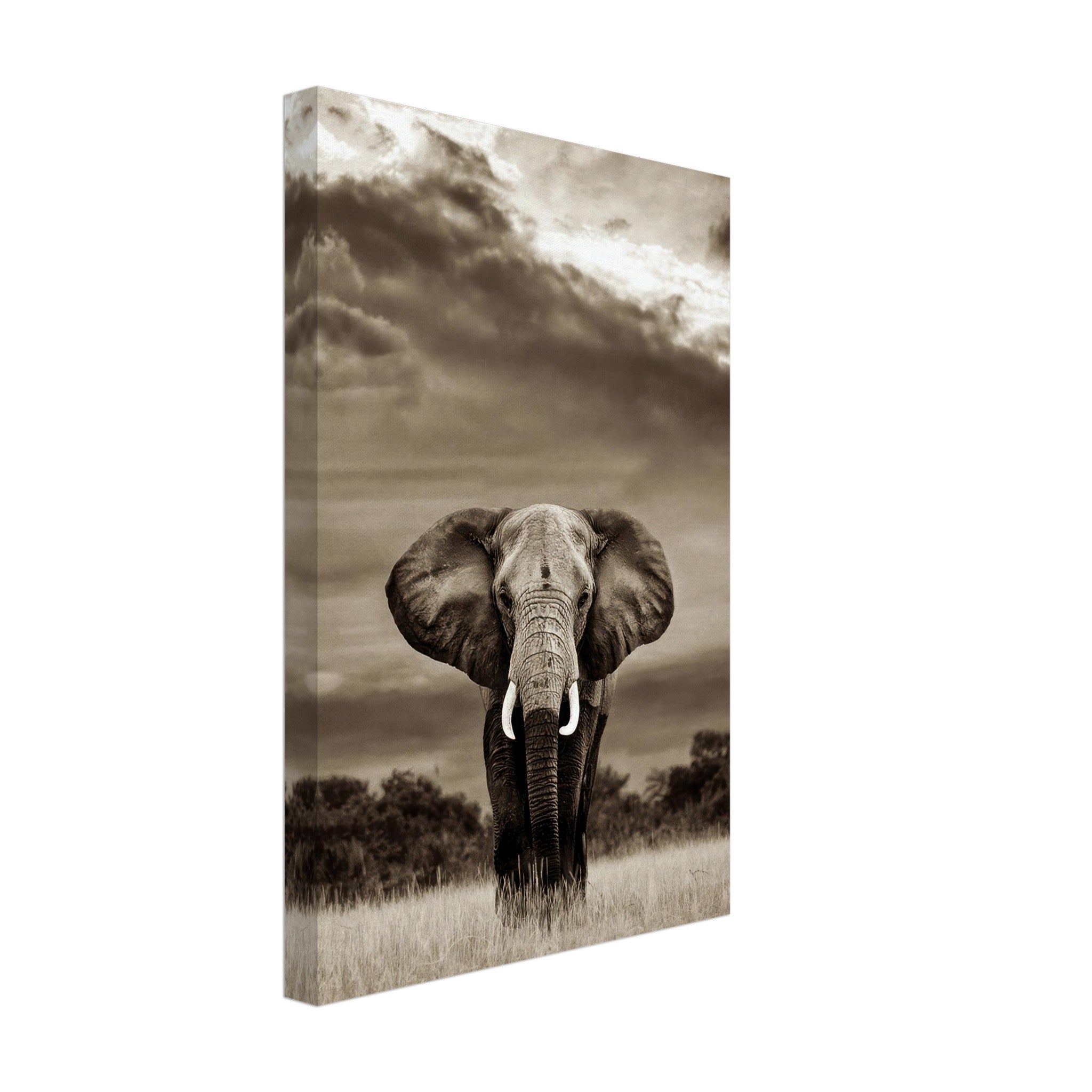 Black-and-white canvas print of an elephant standing majestically in the wild against a cloudy sky.