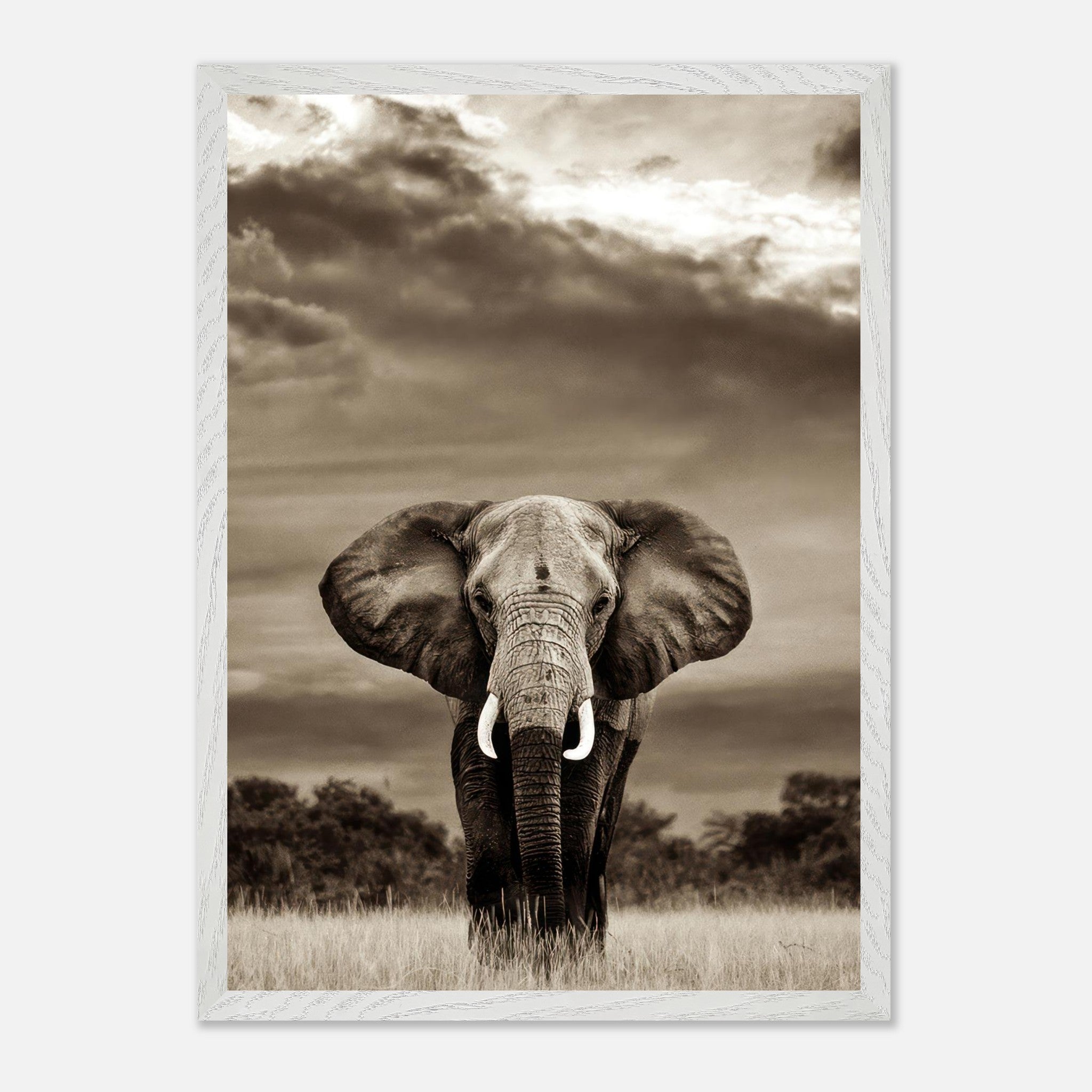 Stunning black-and-white elephant portrait photography print capturing strength and grace in a natural setting.