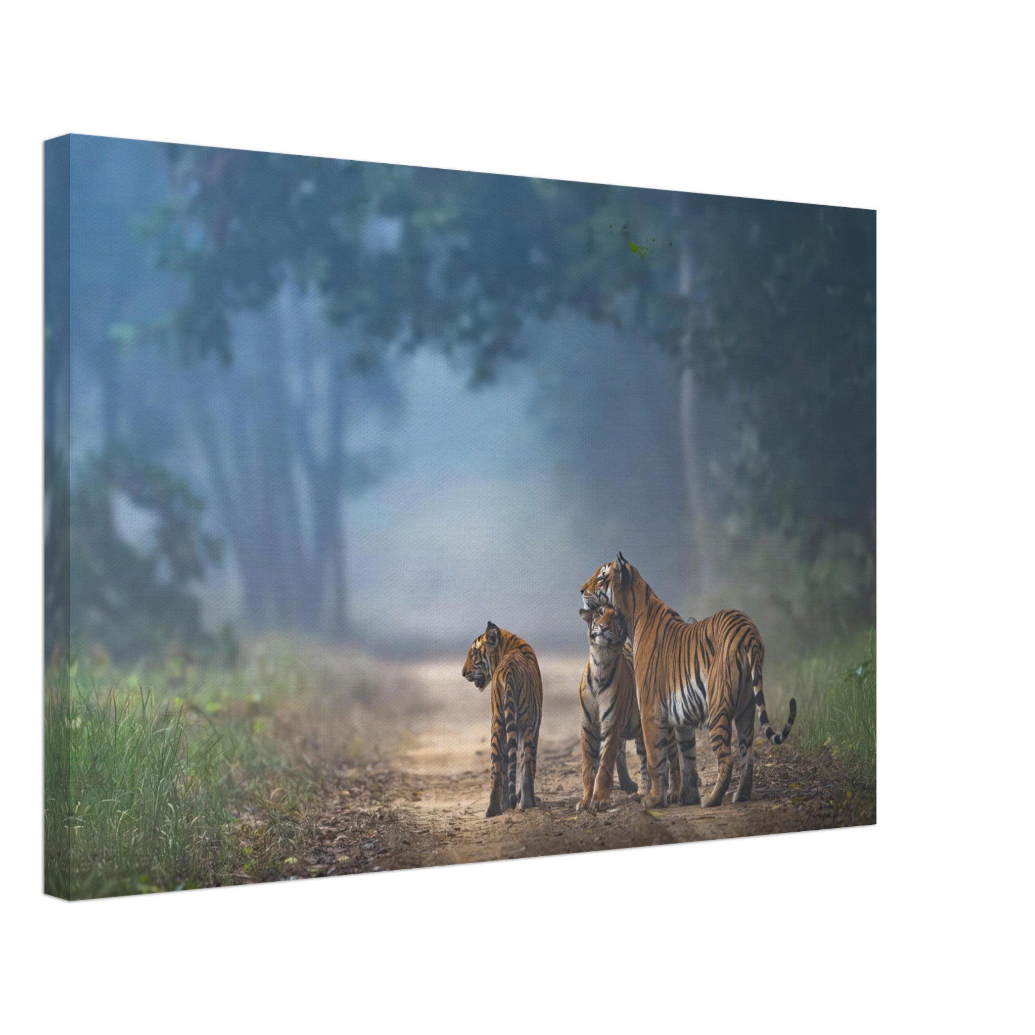 The Bond of Tigers Canvas featuring a tiger family in a misty forest, showcasing strength and unity in the wild.