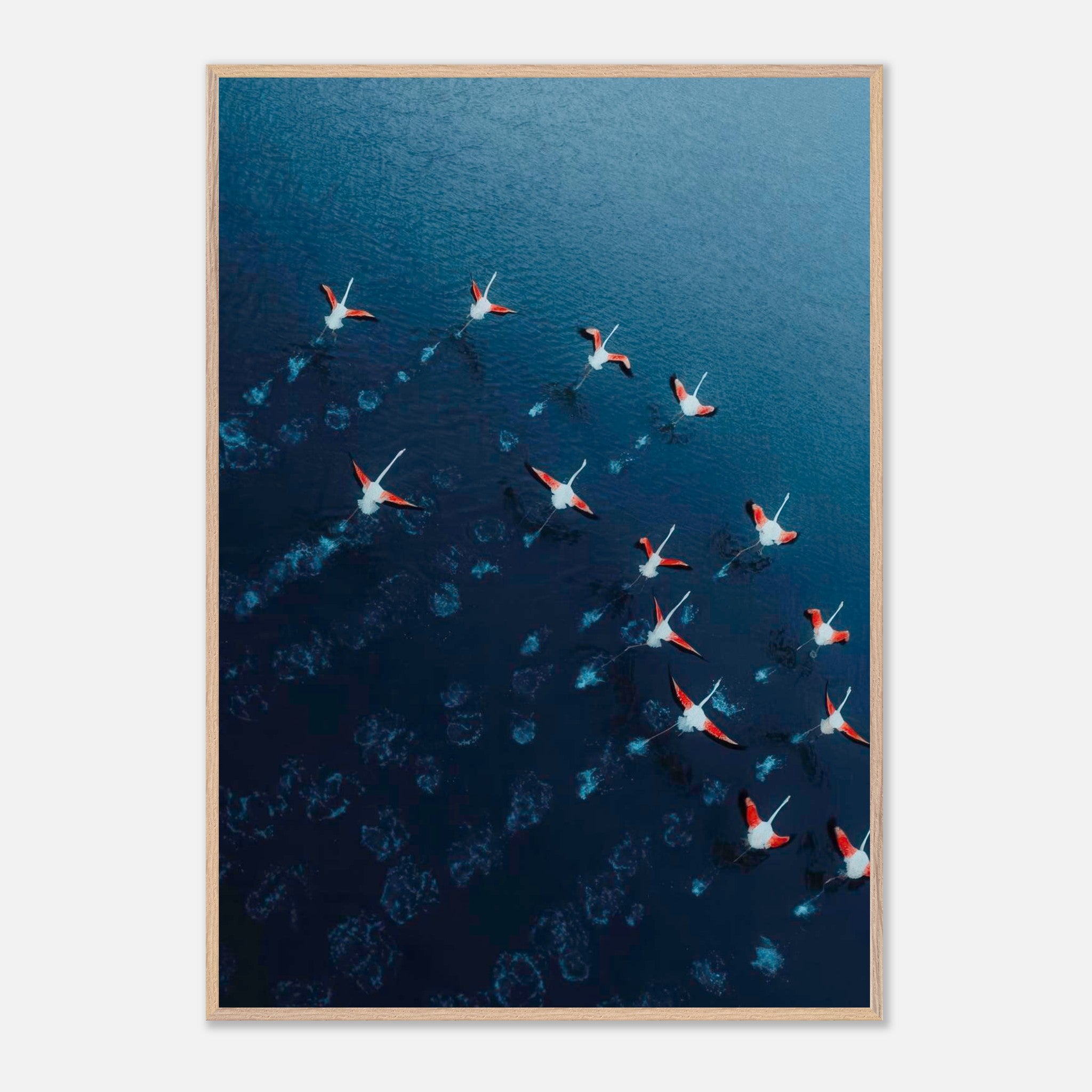 Aerial view of flamingos gracefully gliding over deep azure waters, captured in vibrant pink and red hues.