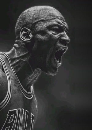 Michael Jordan Chicago Bulls