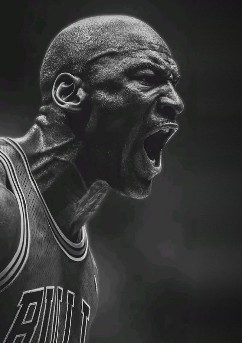 Michael Jordan Chicago Bulls