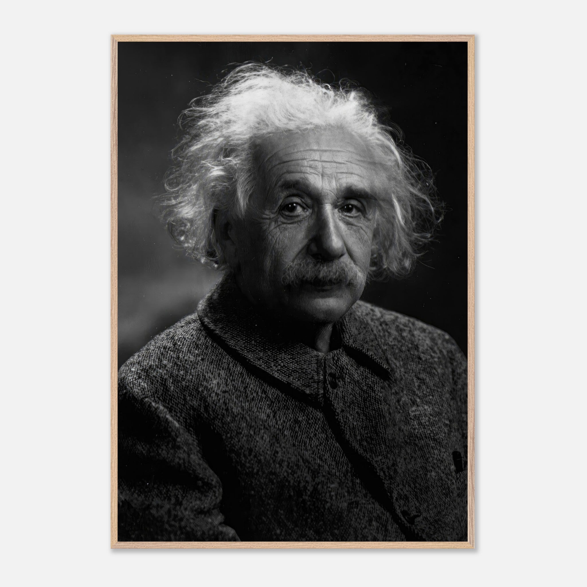 Black-and-white portrait of Albert Einstein, highlighting his expressive gaze and iconic features in fine art quality.