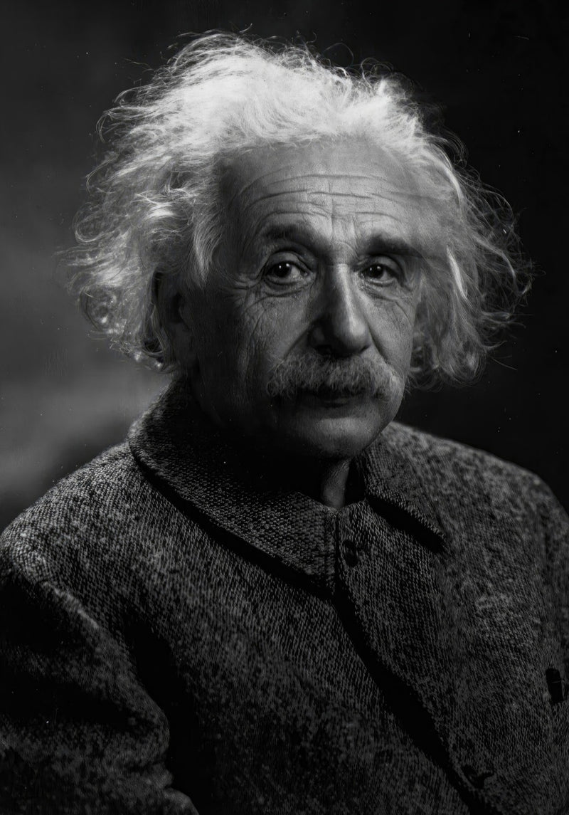 Albert Einstein Portrait