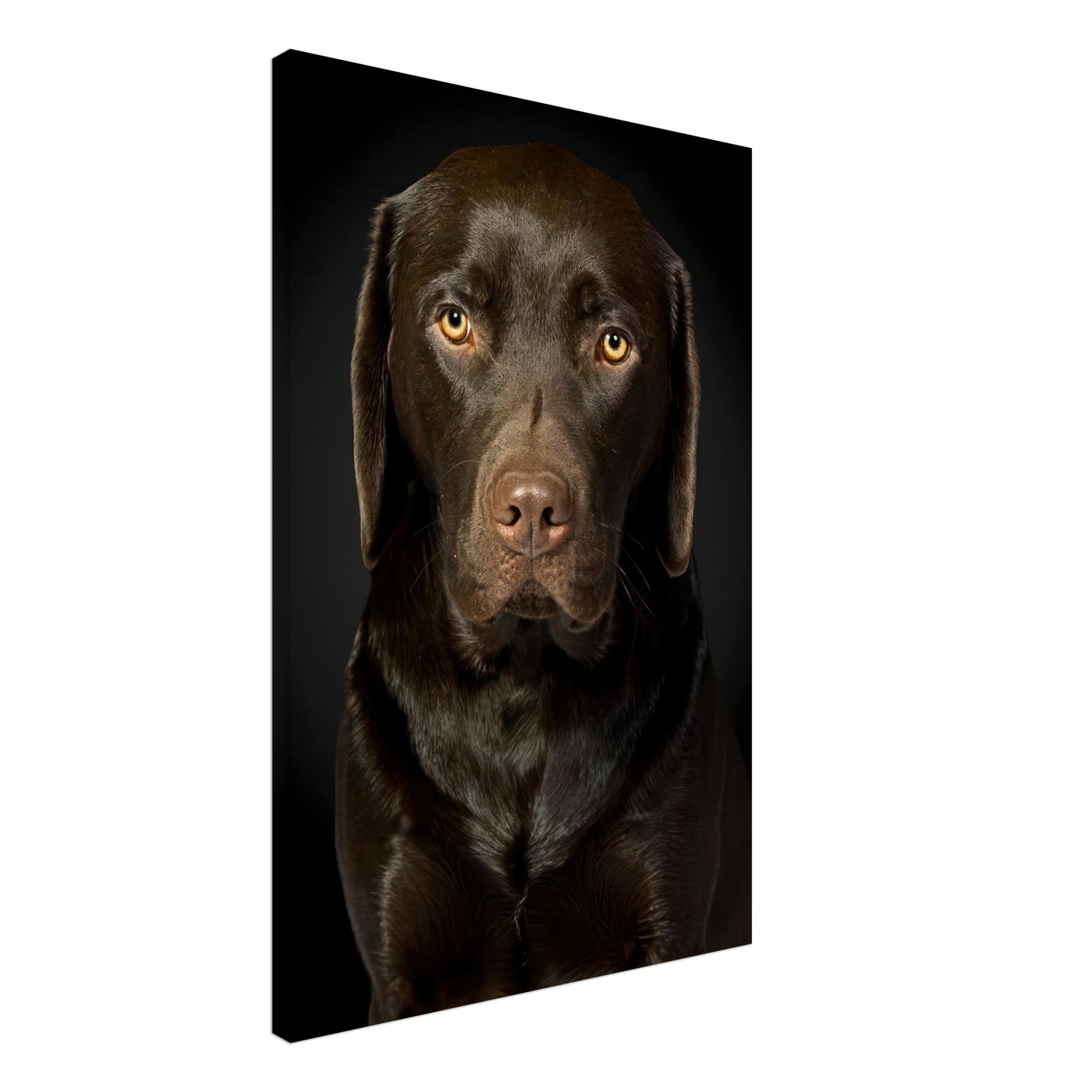 Chocolate Labrador portrait canvas print showcasing a loyal dog with warm eyes and glossy coat against a black background.