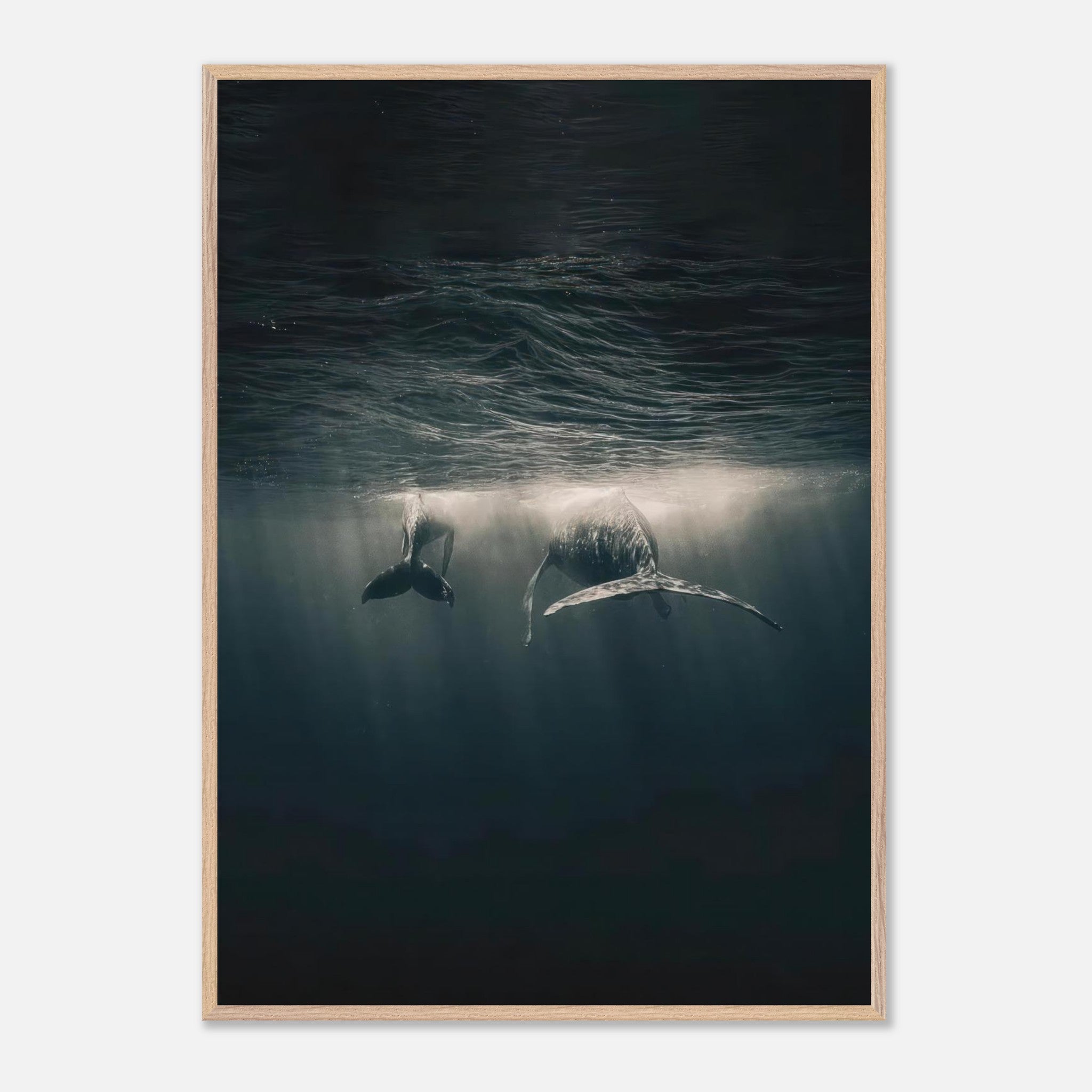 Fine art print of two majestic whales swimming underwater, showcasing tranquility and beauty in the deep ocean.