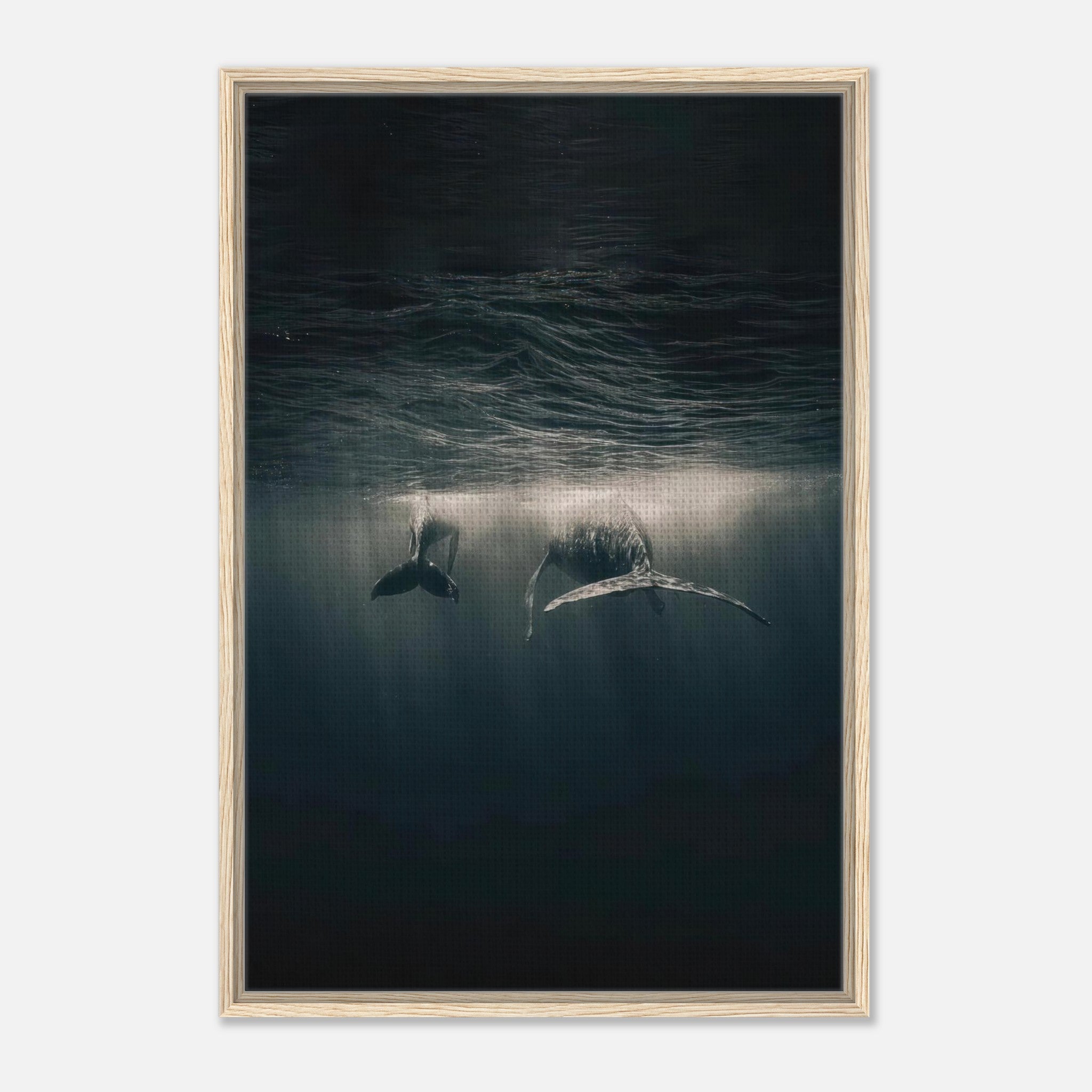 Whales gliding gracefully underwater, framed canvas print showcasing ocean beauty and serene ambiance.