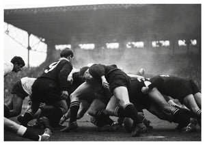 France vs New Zealand Rugby 1967