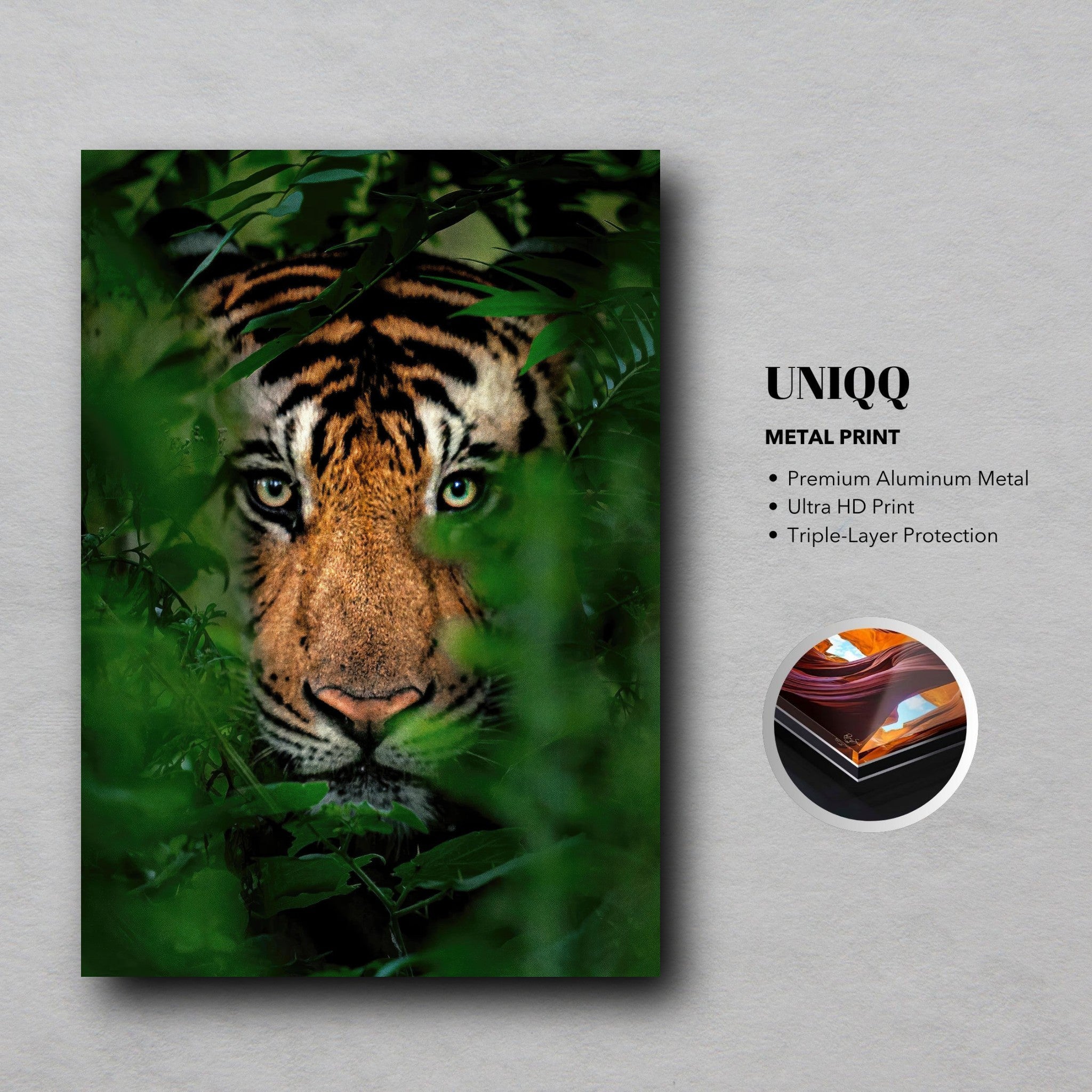 Tiger Through Jungle metal print showcasing a majestic tiger's gaze amid lush greenery, made of premium aluminum.