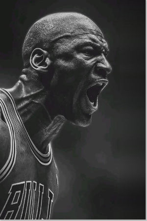 Michael Jordan Chicago Bulls