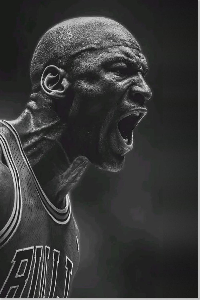 Michael Jordan Chicago Bulls