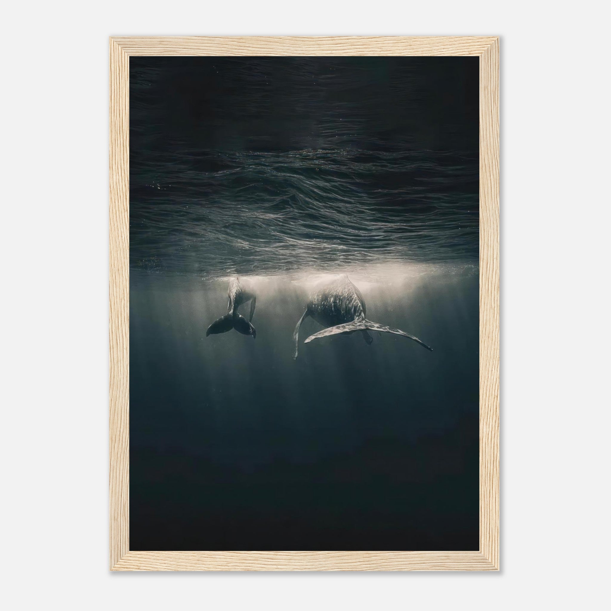 Whales swimming gracefully underwater, framed print showcasing the beauty of marine life and sunlight reflections.